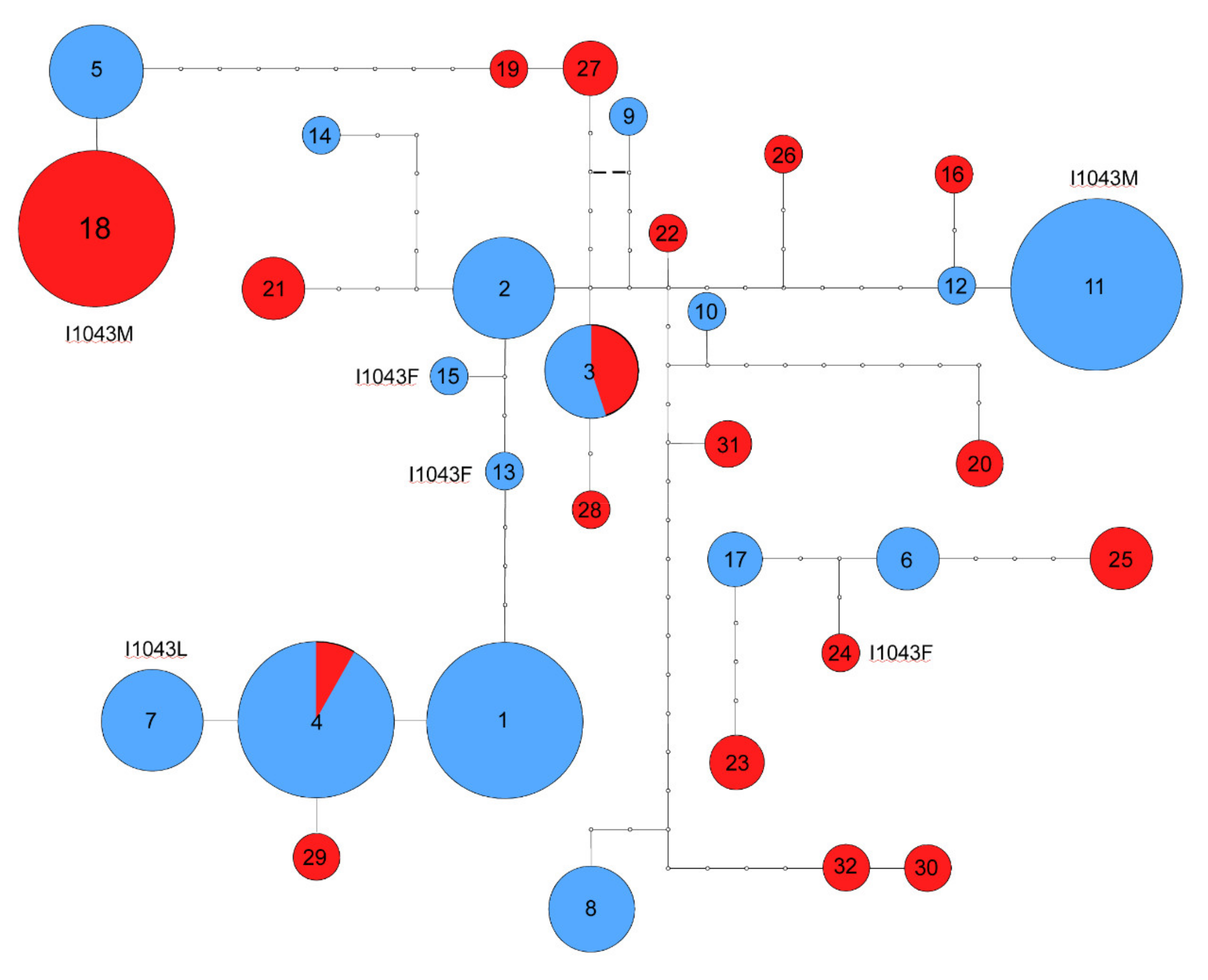 Insects 12 00676 g002