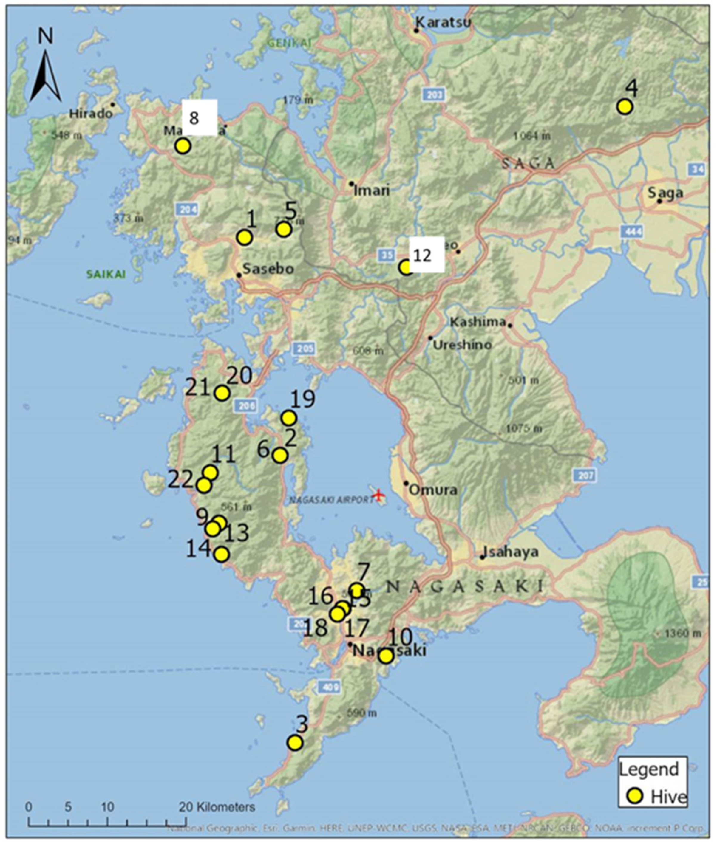 Insects 12 00685 g001
