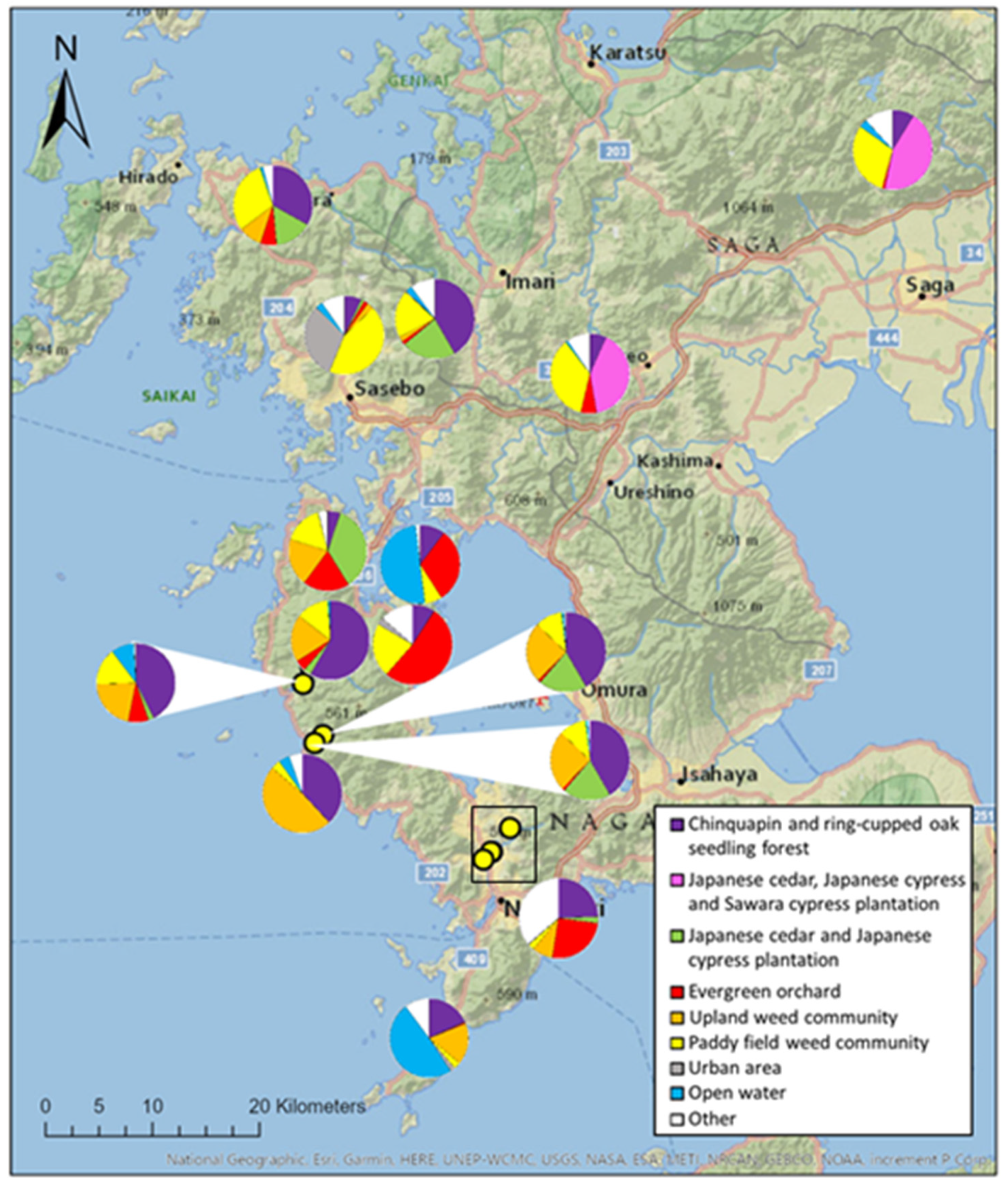 Insects 12 00685 g003