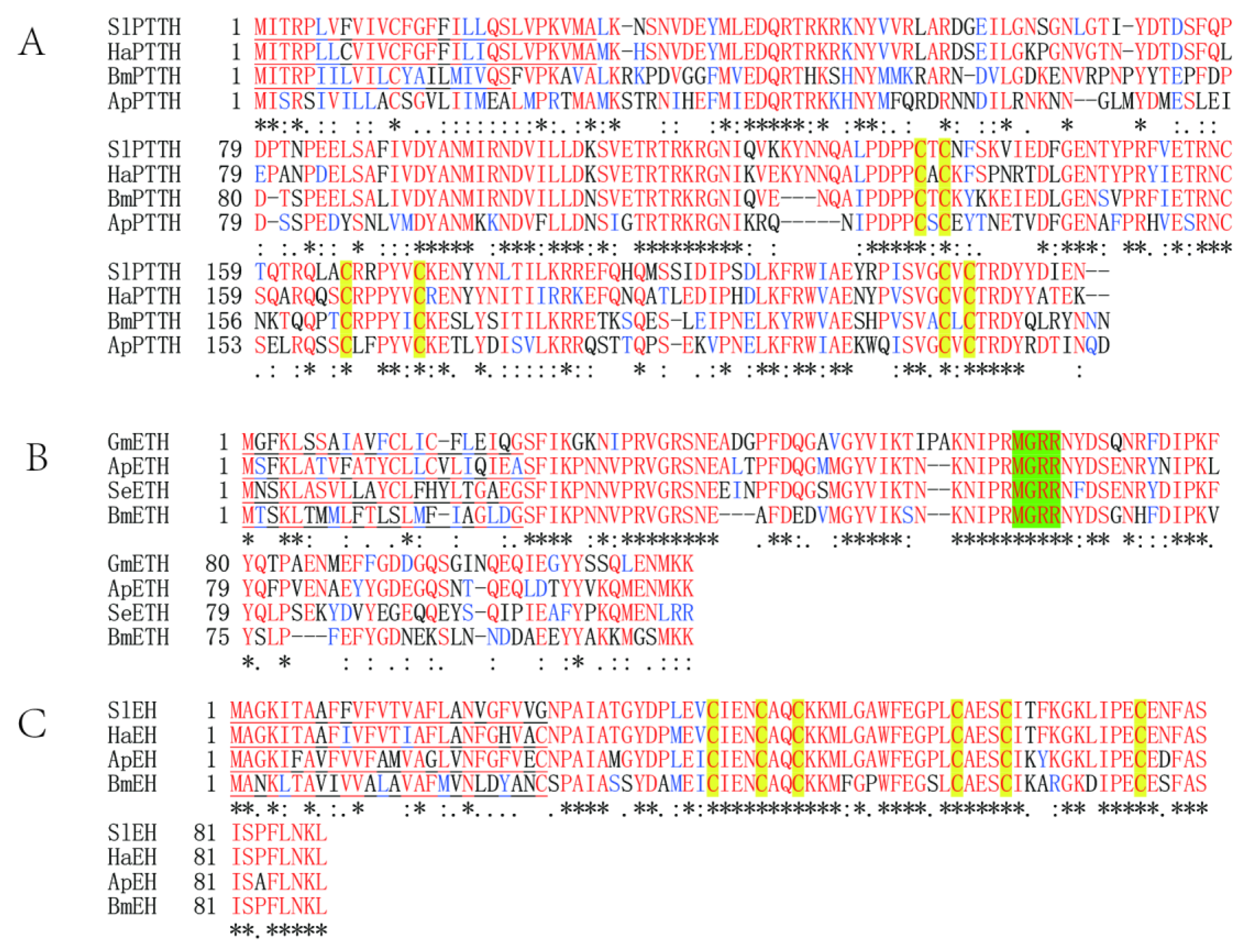 Insects 12 00699 g004