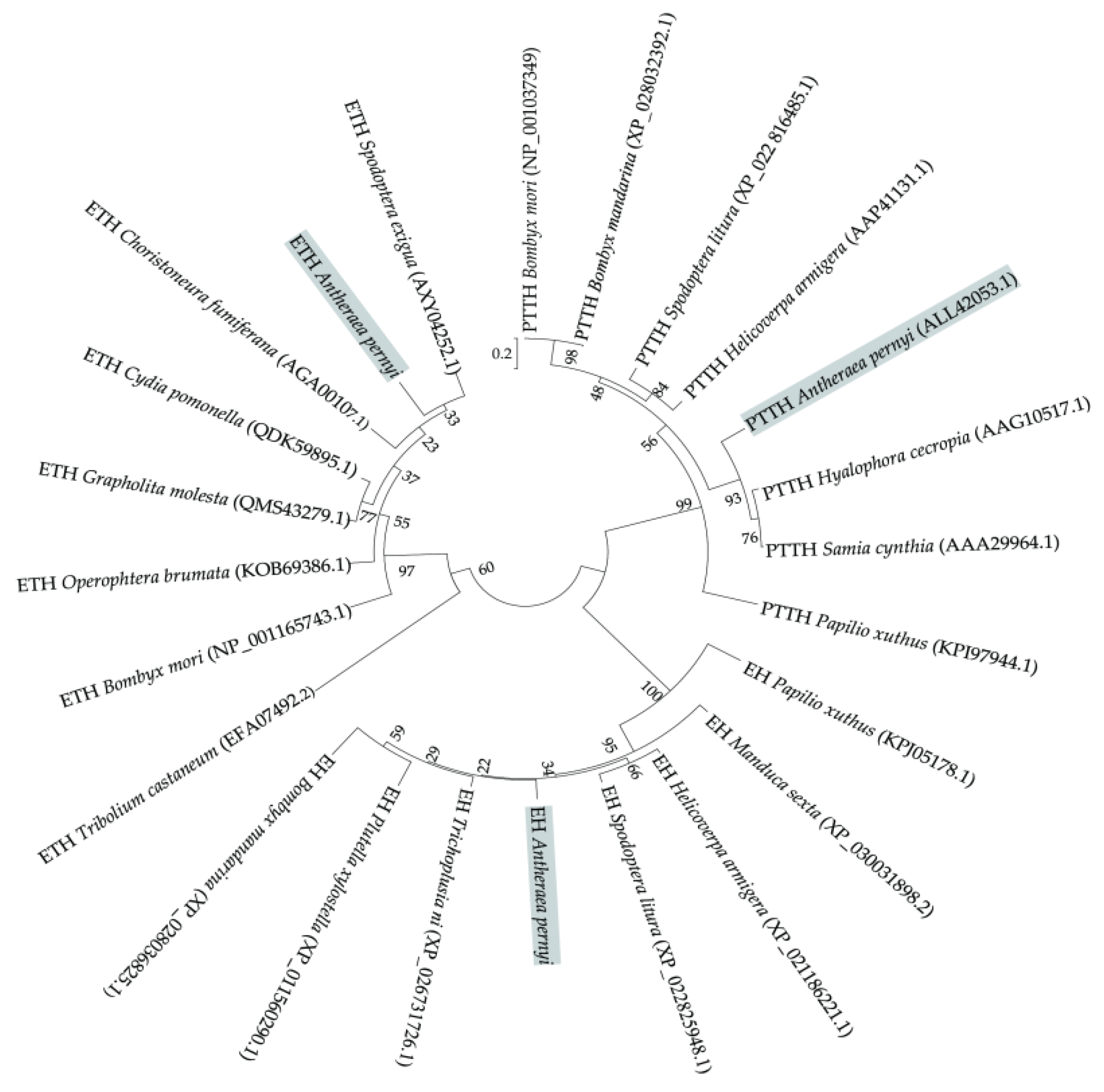 Insects 12 00699 g005