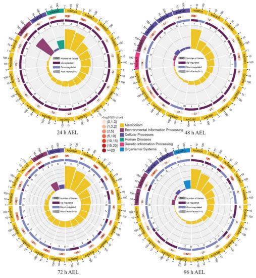 Insects 12 00704 g0a5