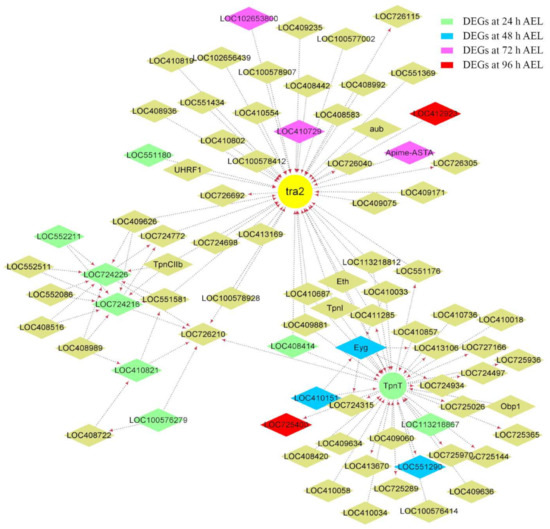 Insects 12 00704 g0a6
