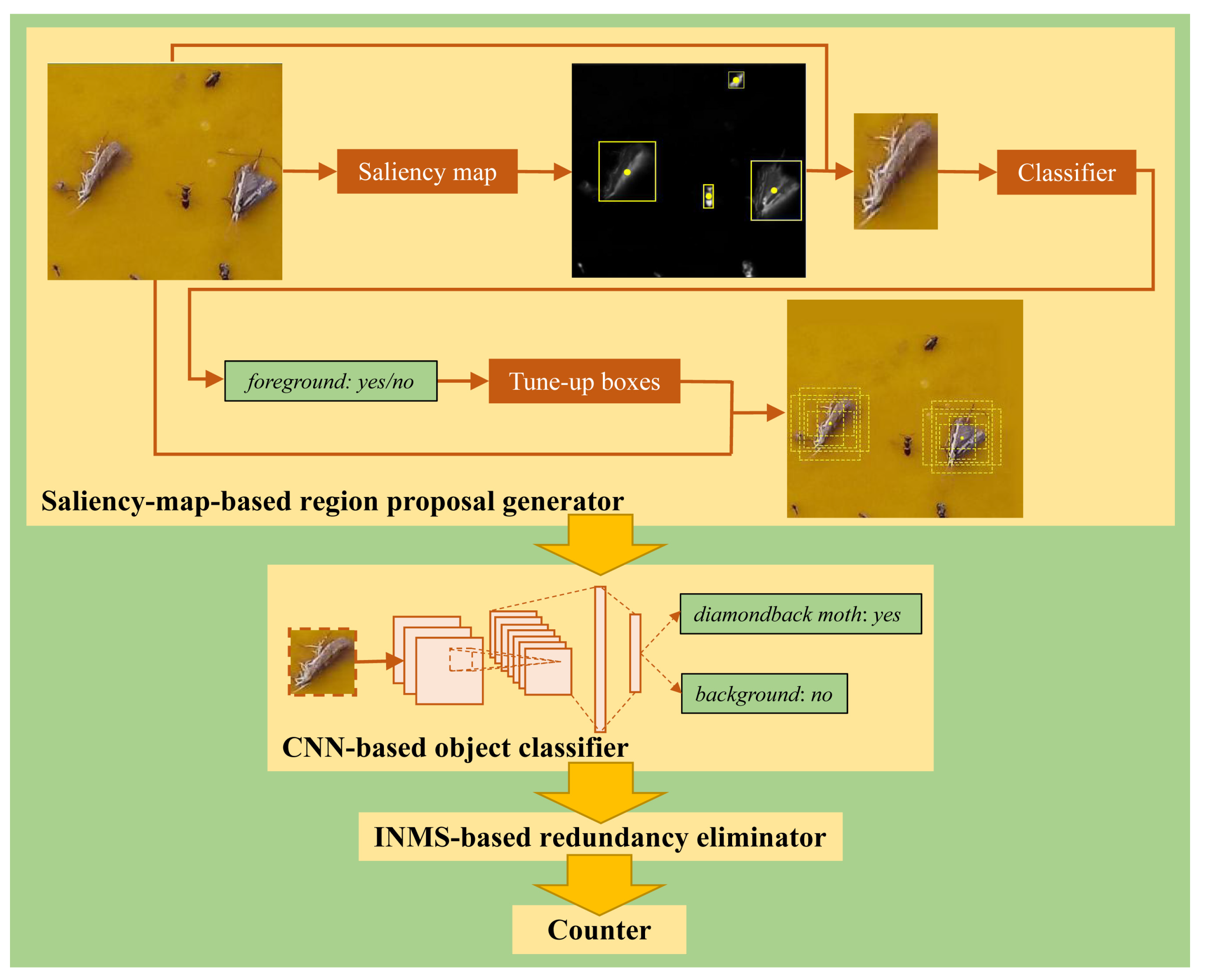 Insects 12 00705 g002