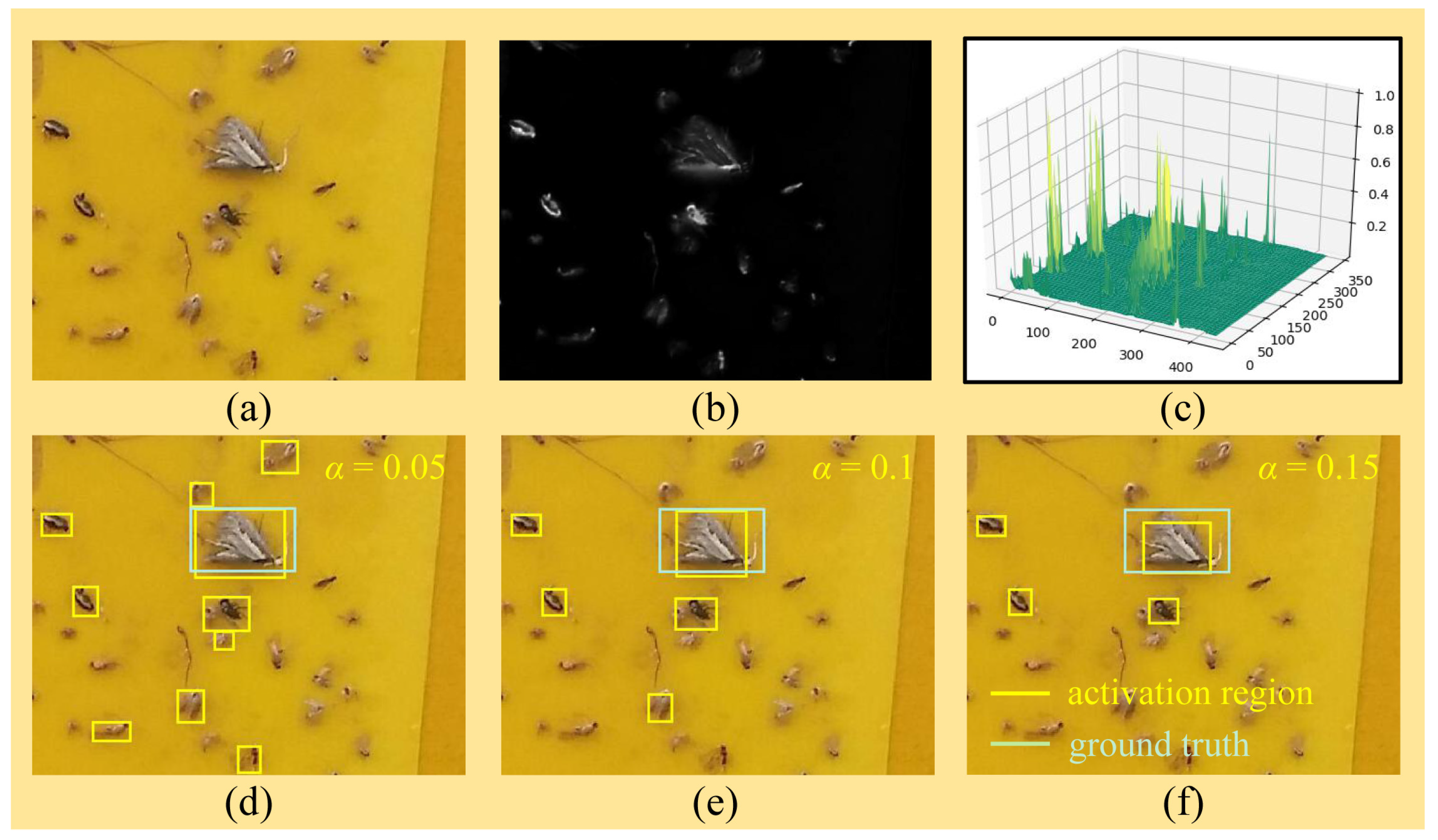 Insects 12 00705 g003