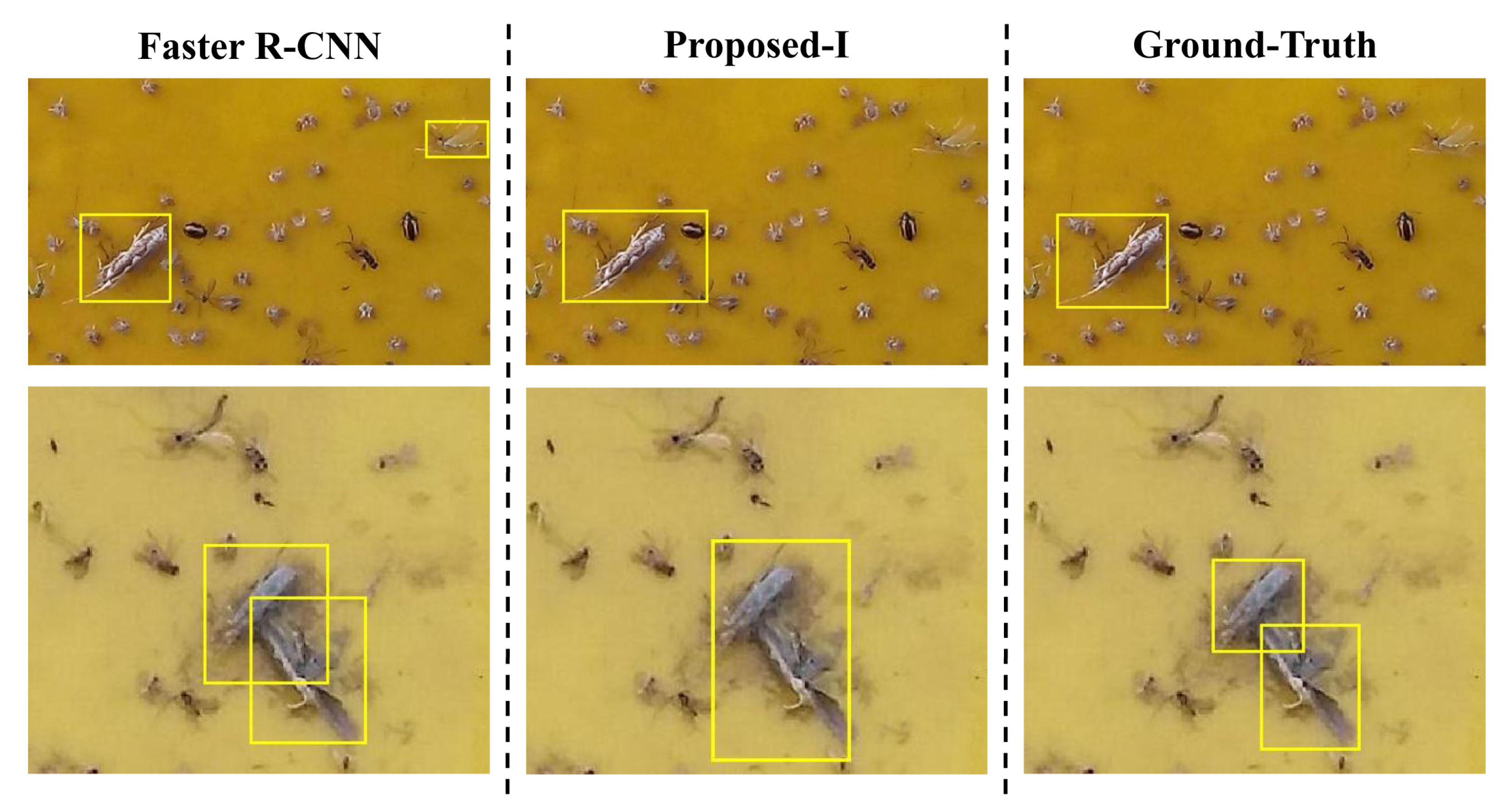 Insects 12 00705 g004