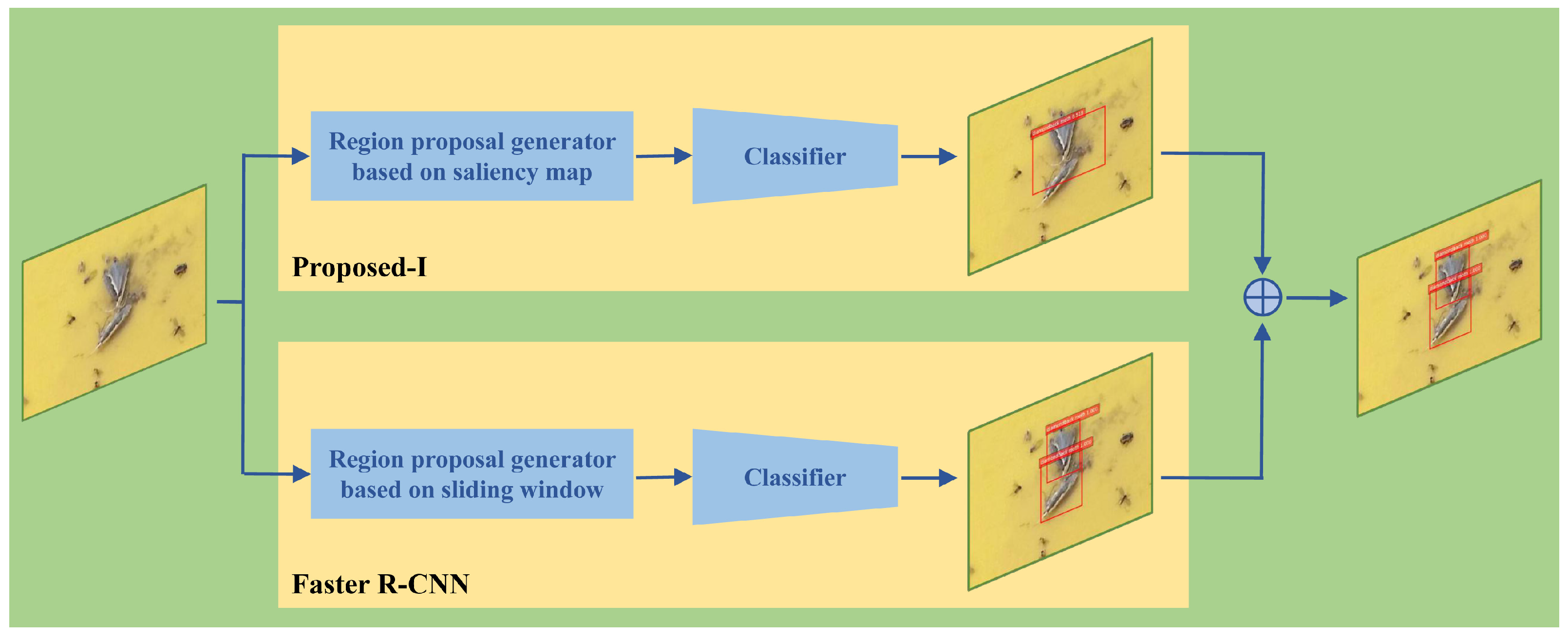 Insects 12 00705 g005