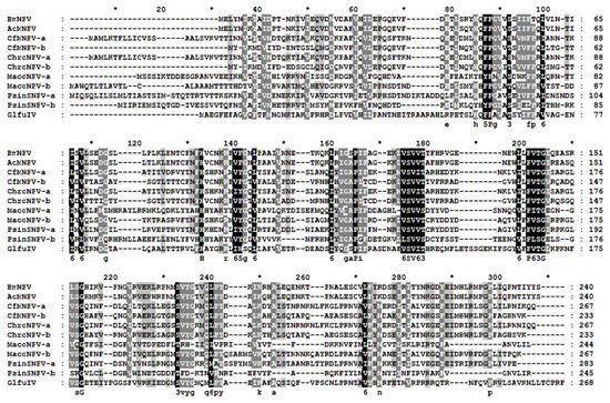 Insects 12 00707 g0a1