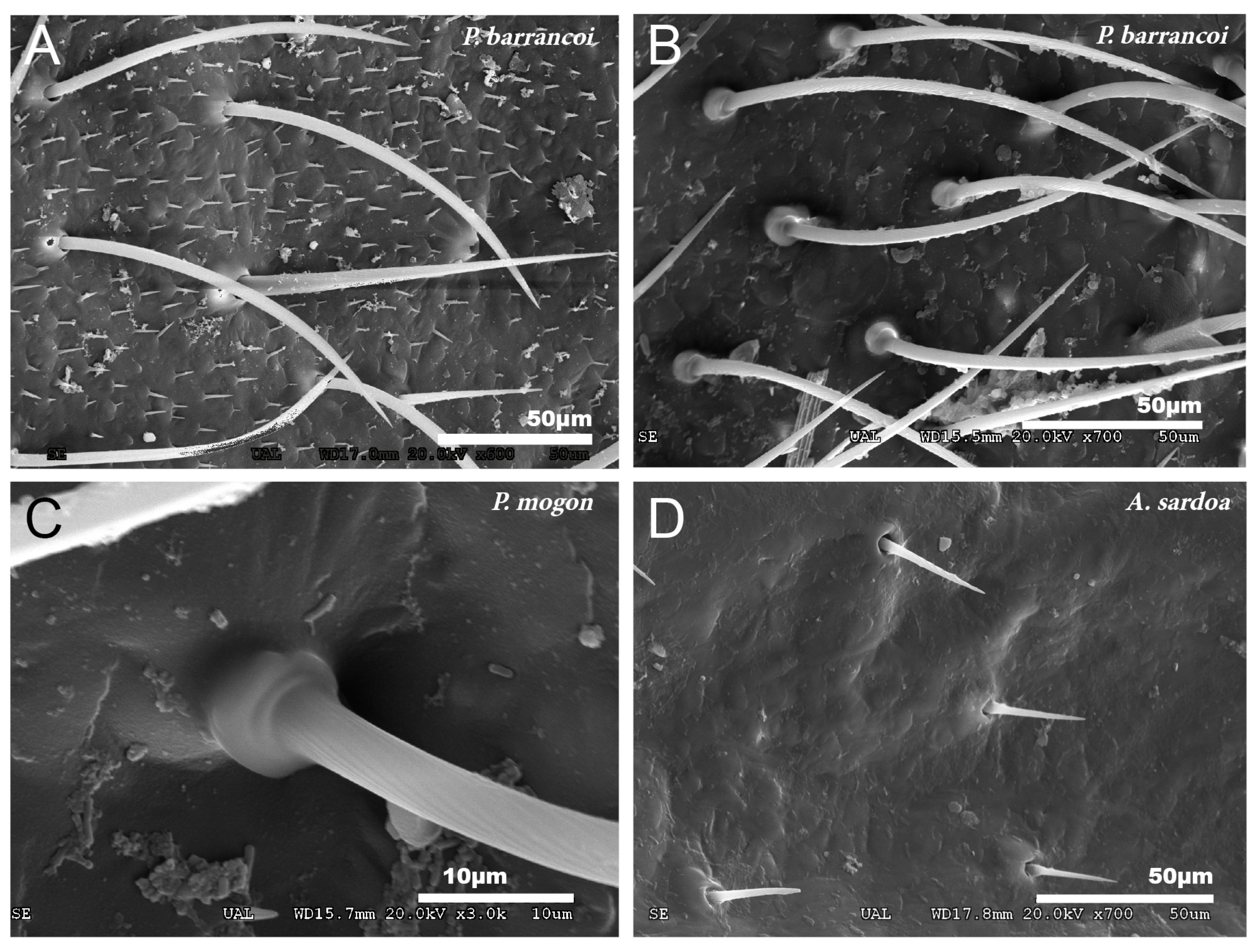 Insects 12 00708 g003