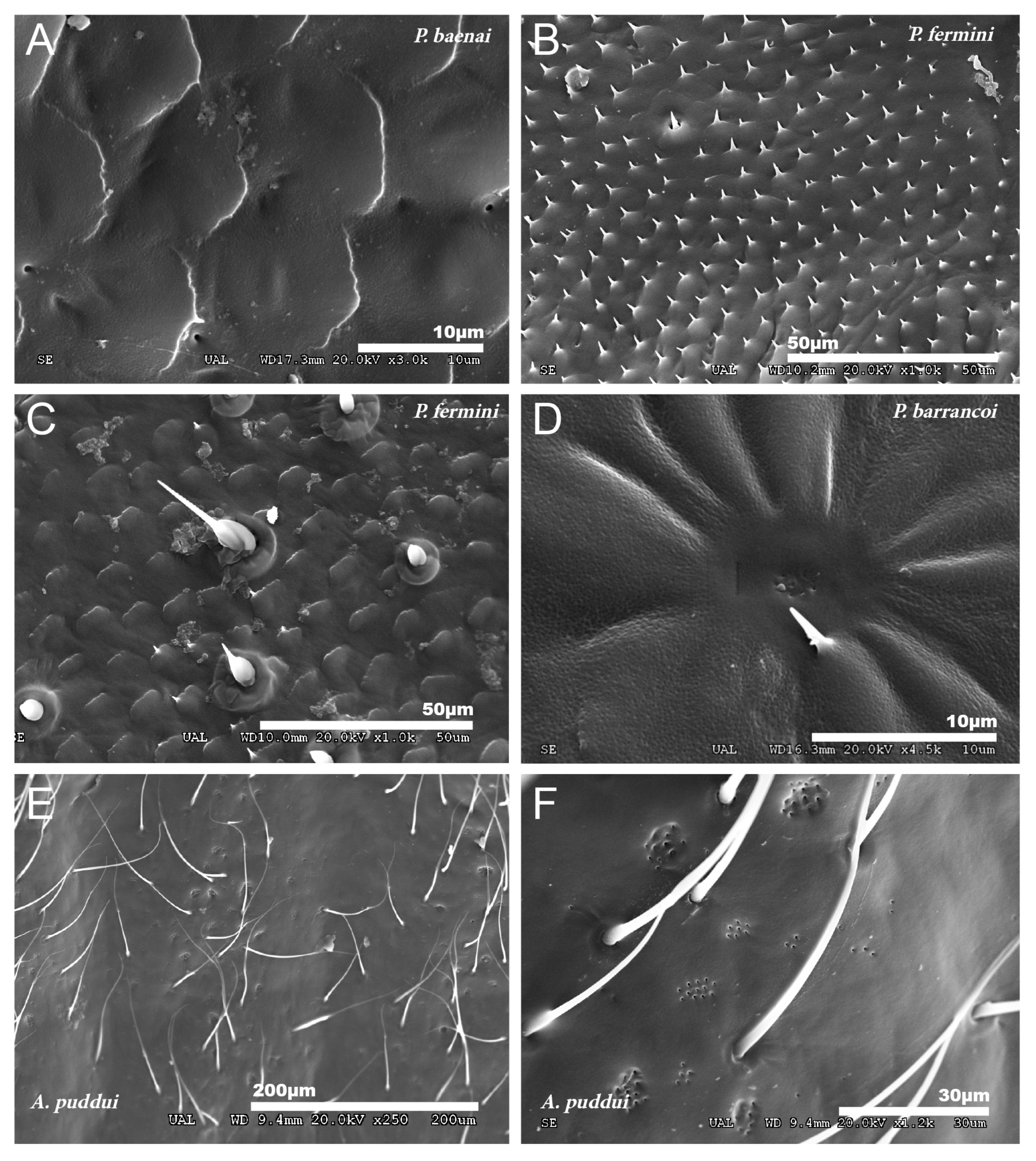 Insects 12 00708 g005