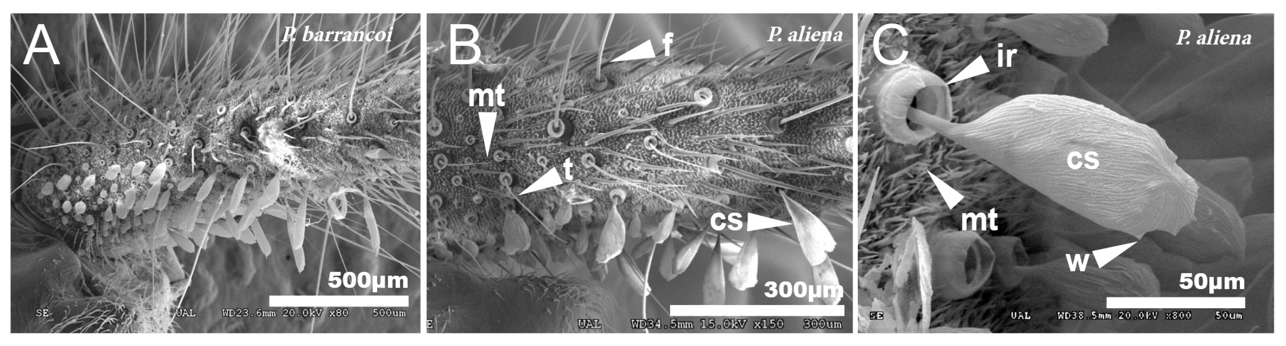 Insects 12 00708 g010