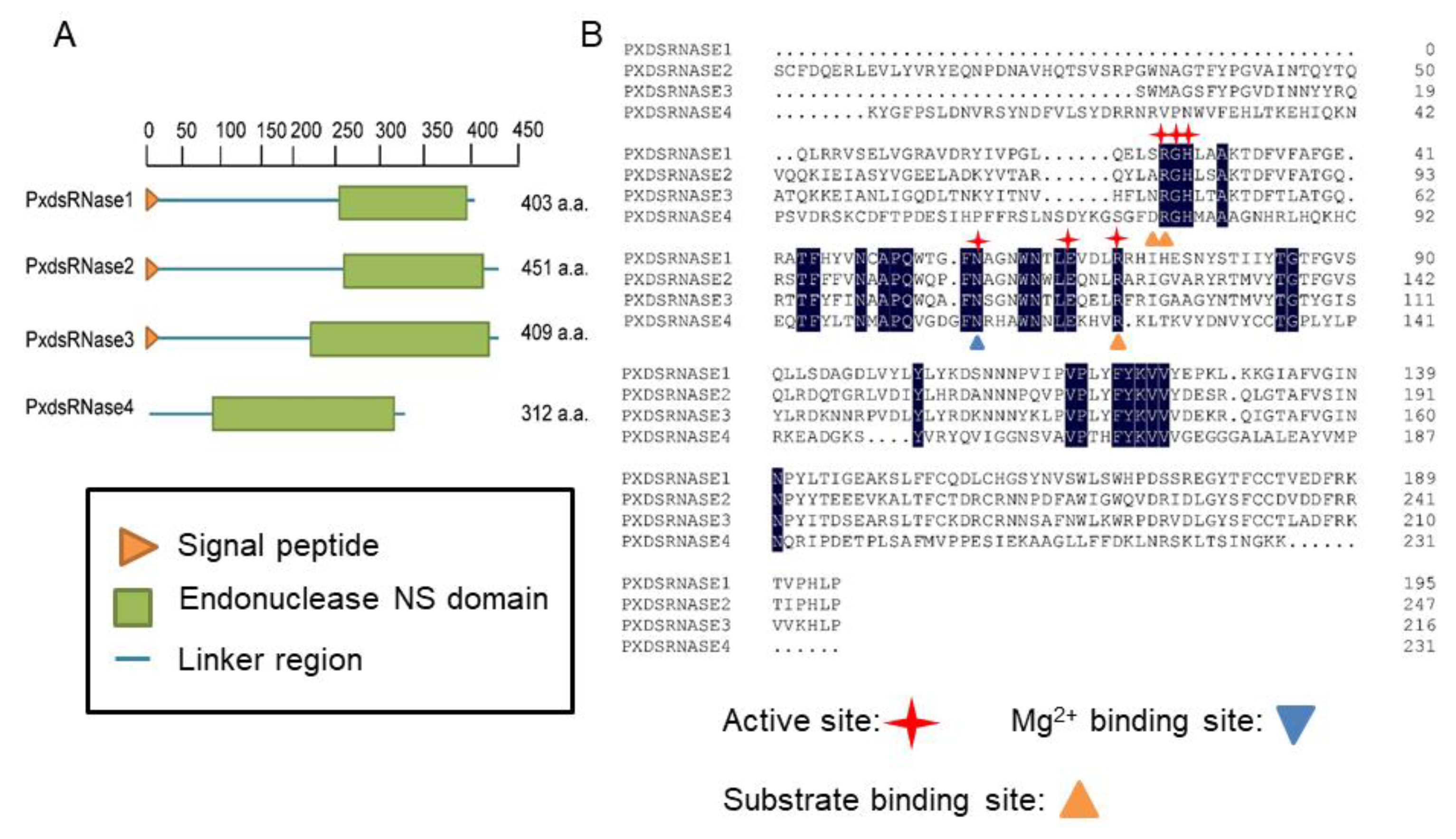 Insects 12 00712 g001