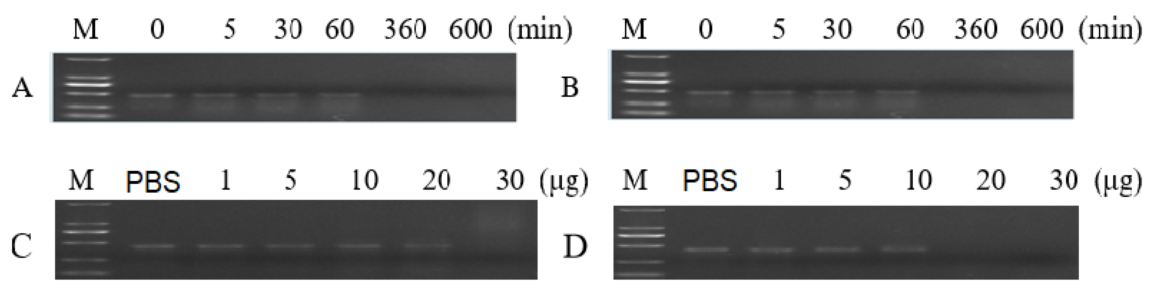 Insects 12 00712 g003