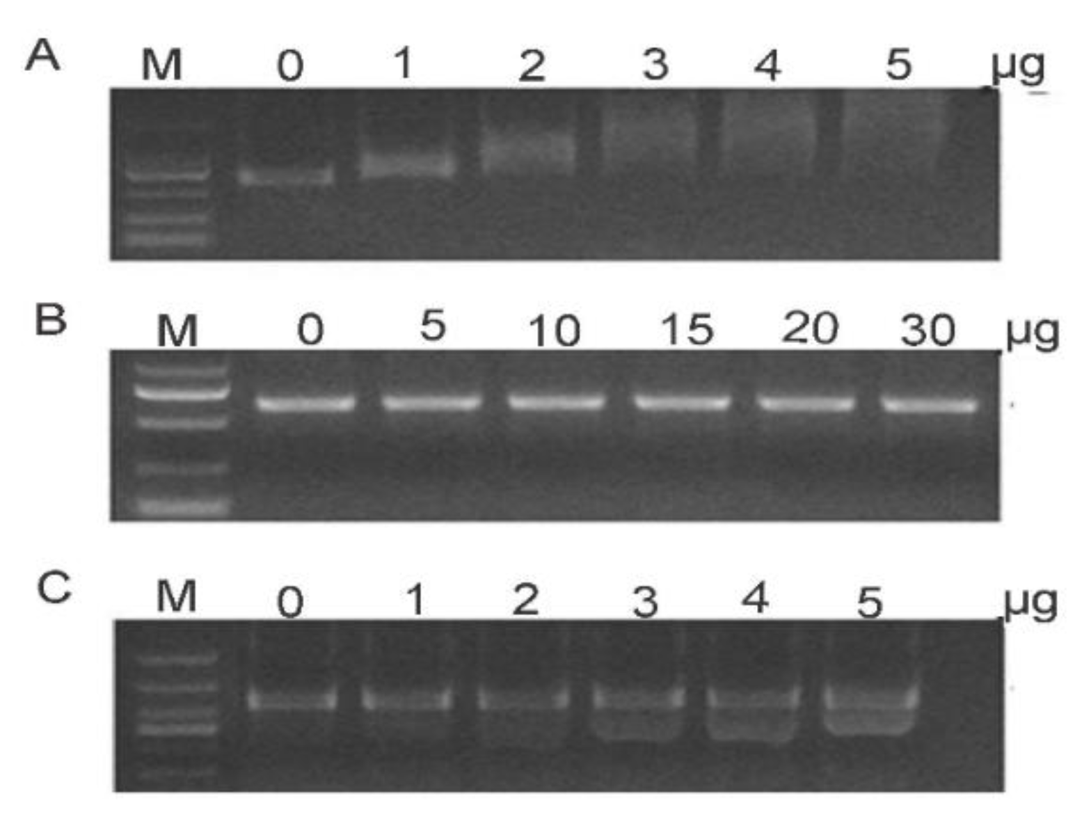 Insects 12 00712 g009
