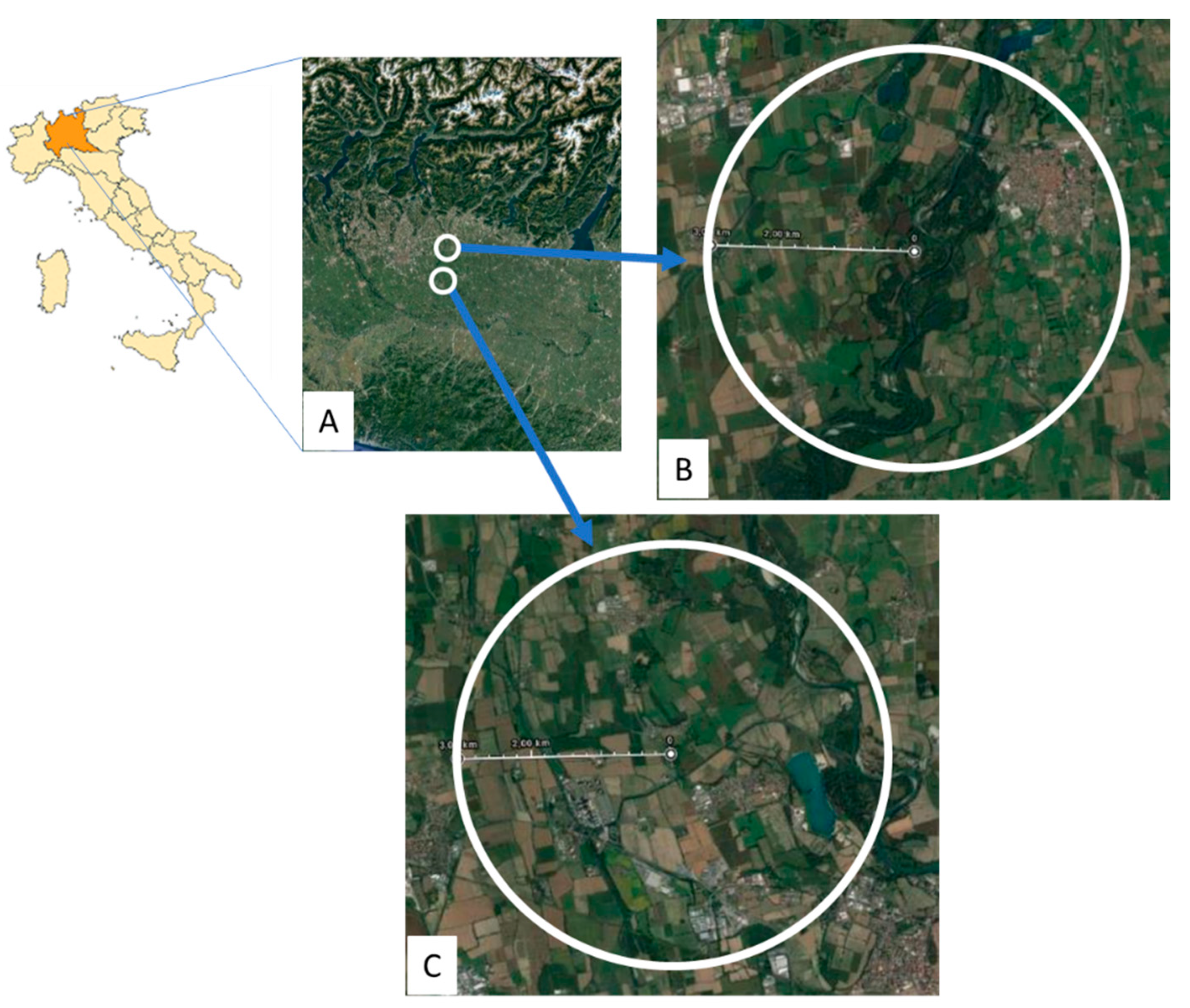 Insects 12 00716 g001