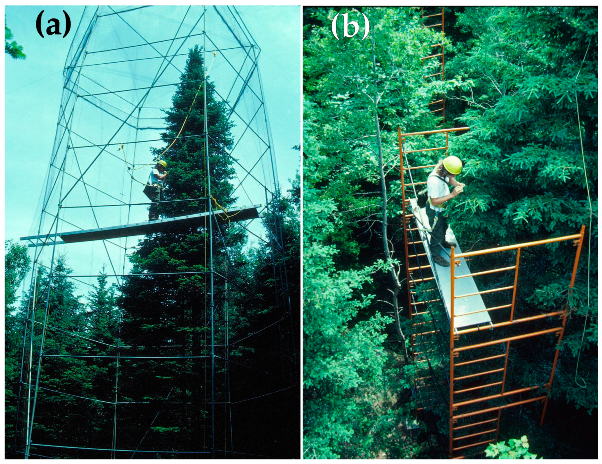 Insects 12 00720 g002