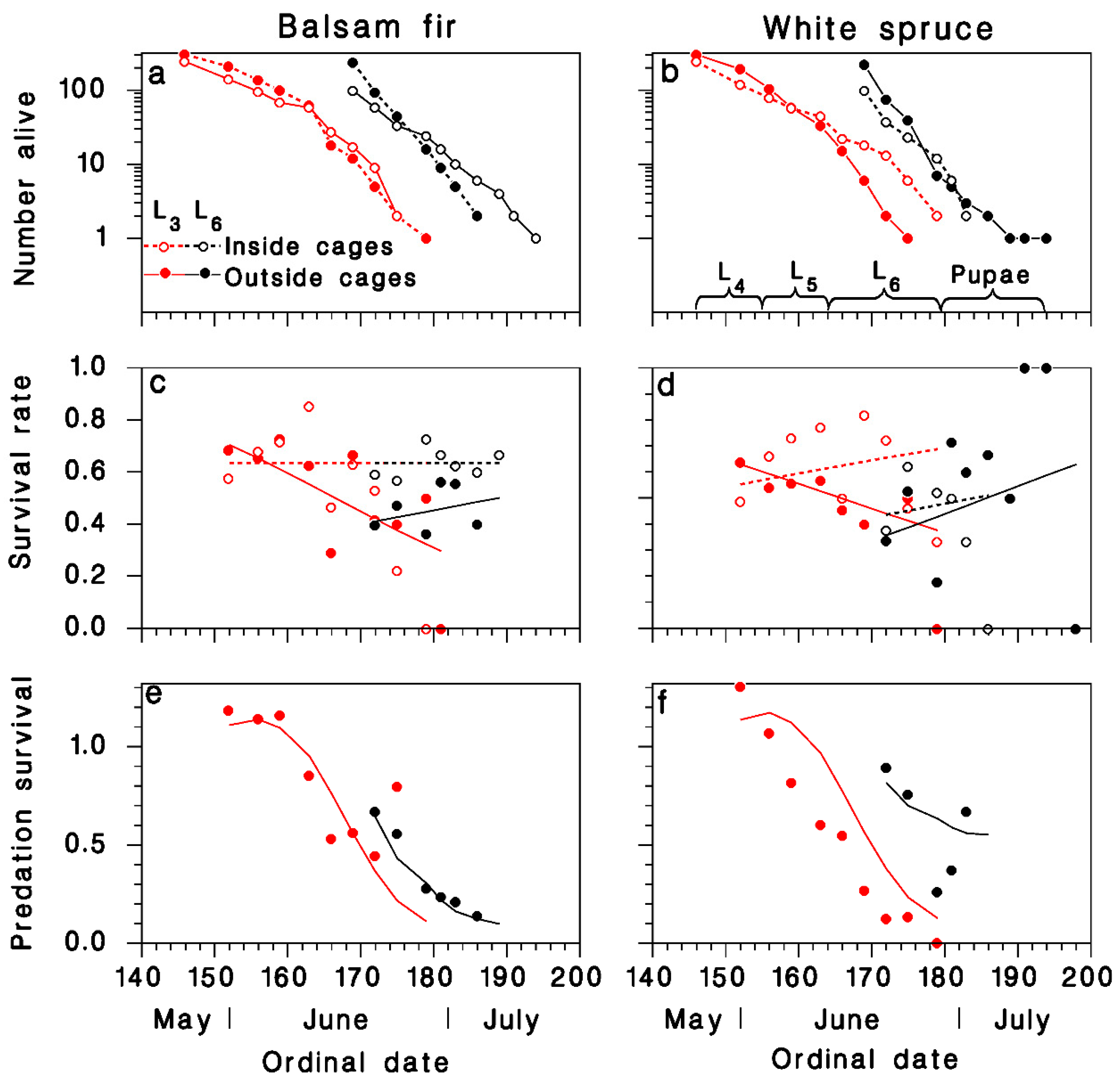 Insects 12 00720 g004
