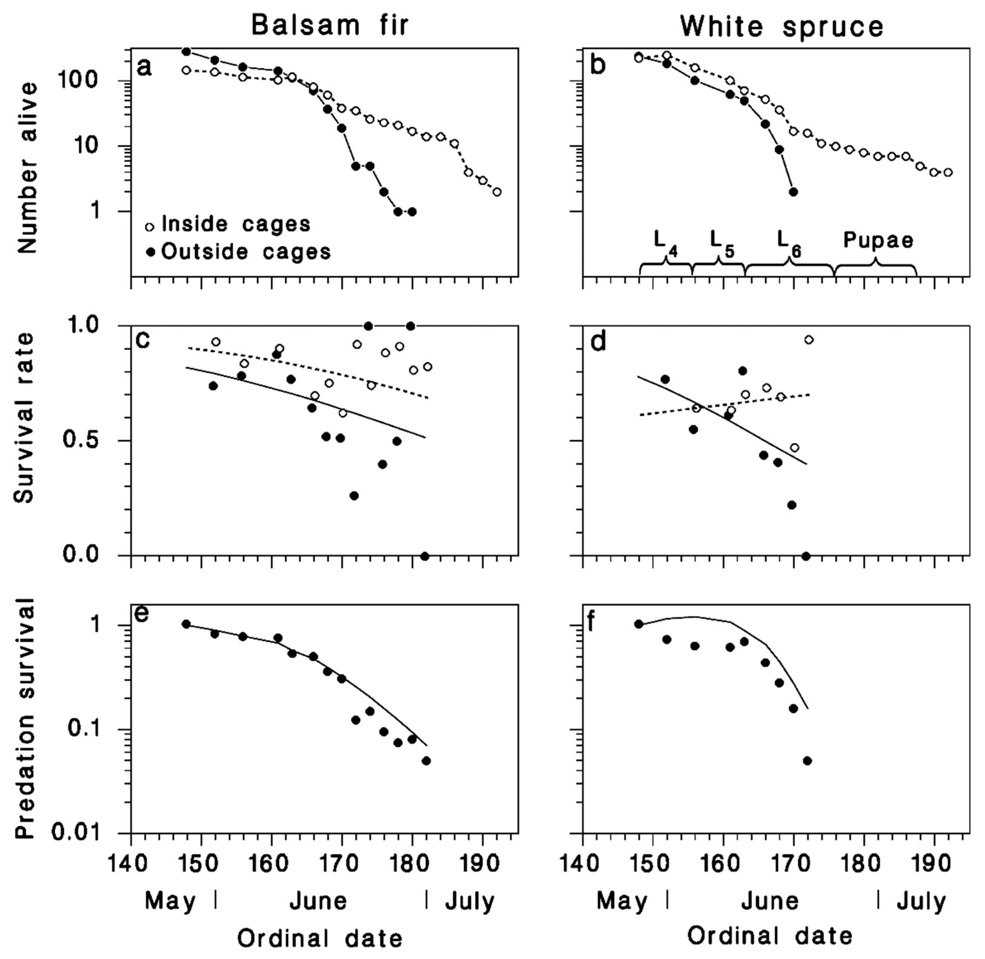 Insects 12 00720 g005