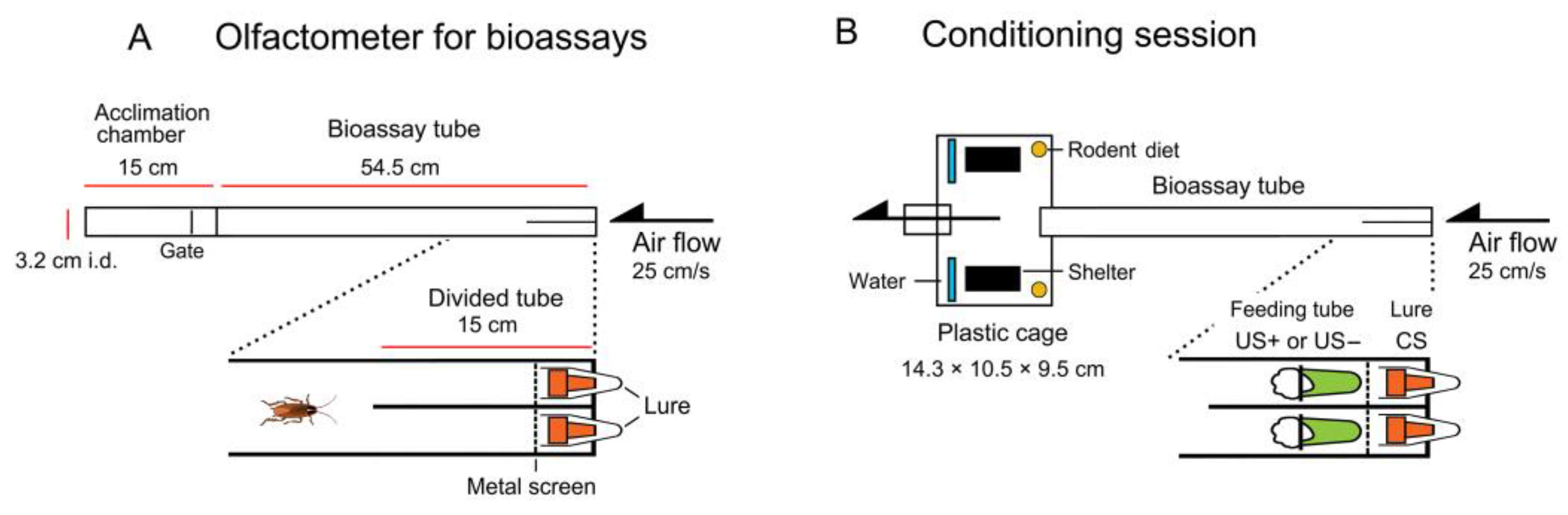 Insects 12 00724 g001