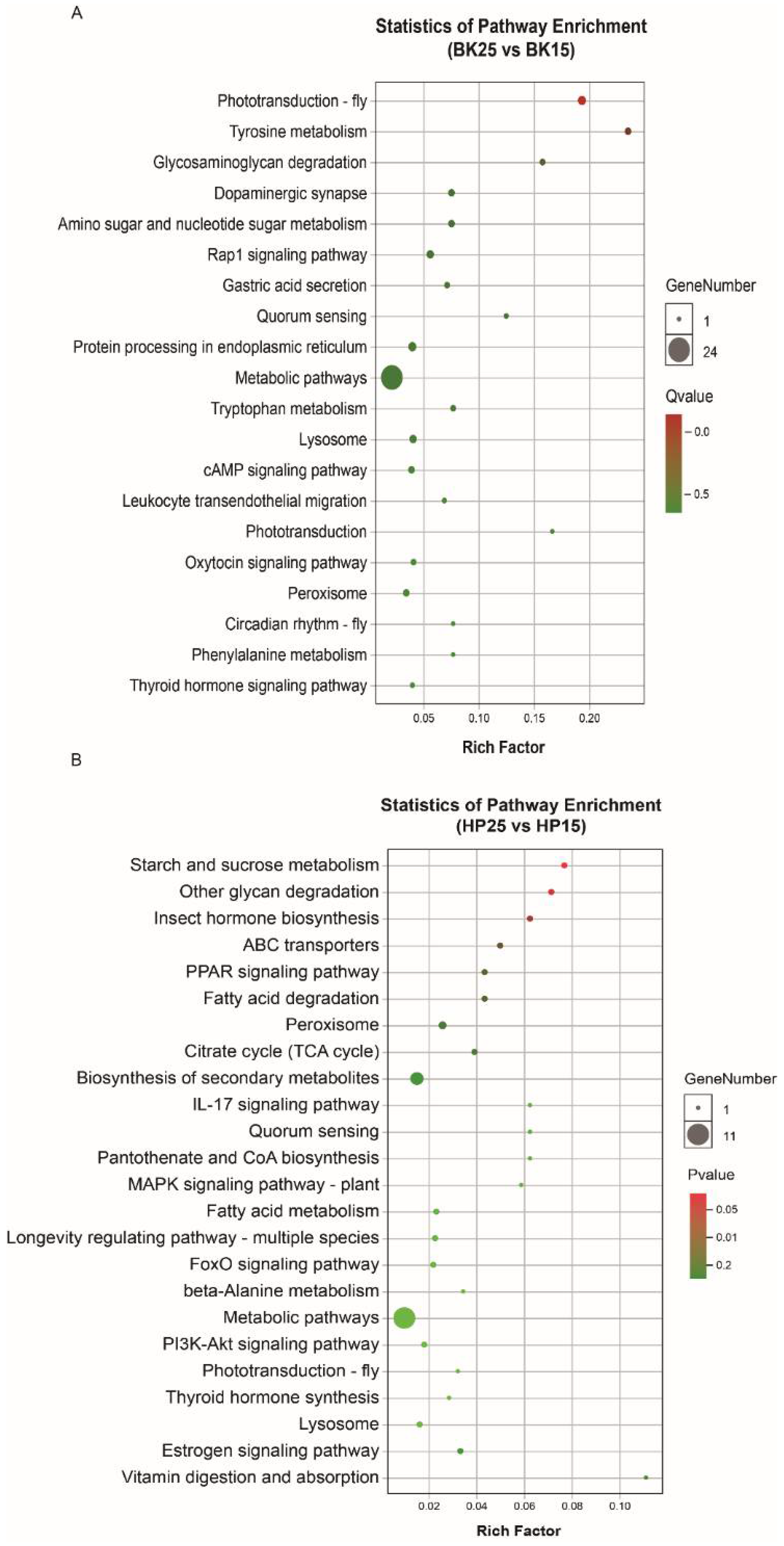 Insects 12 00739 g004