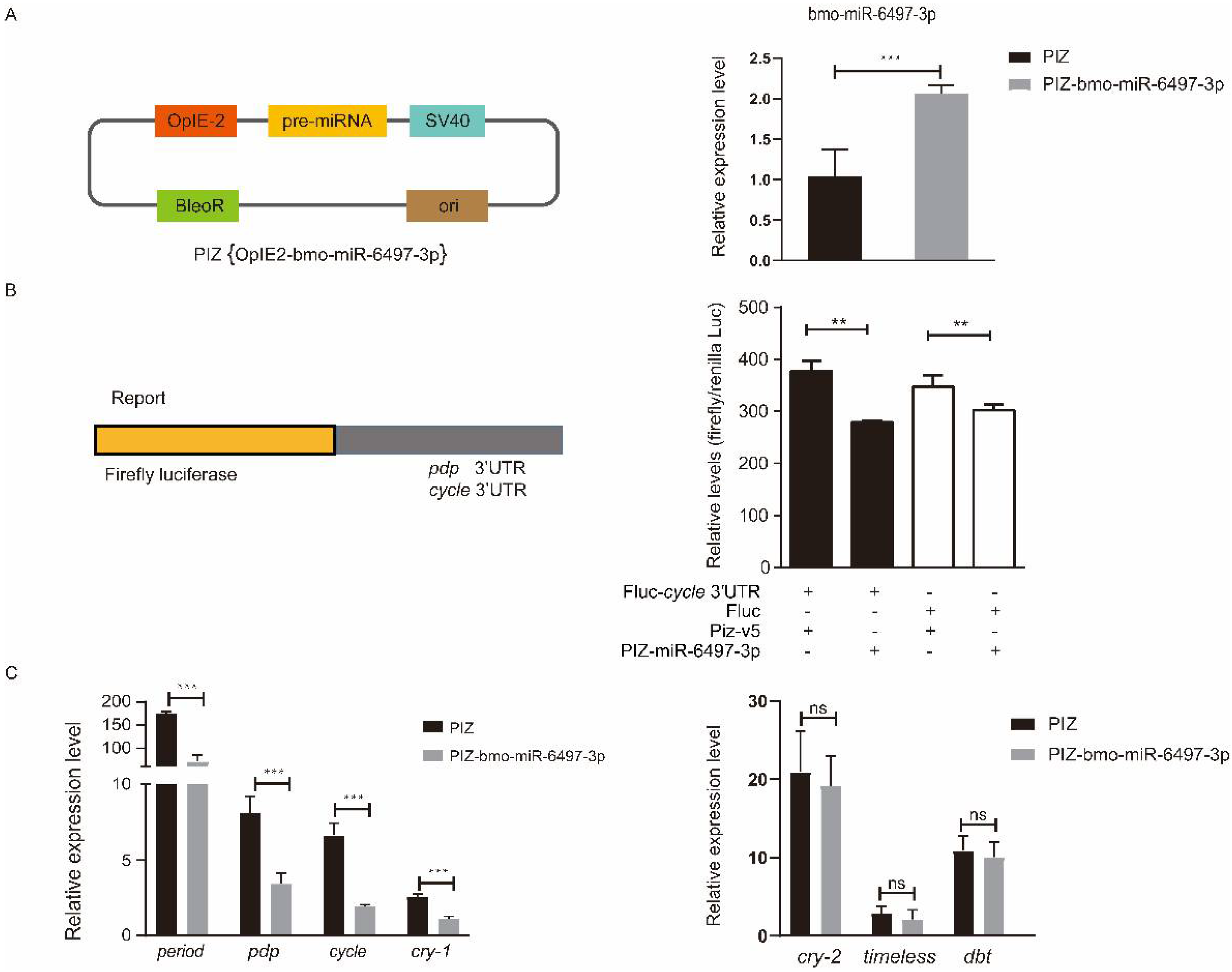 Insects 12 00739 g006