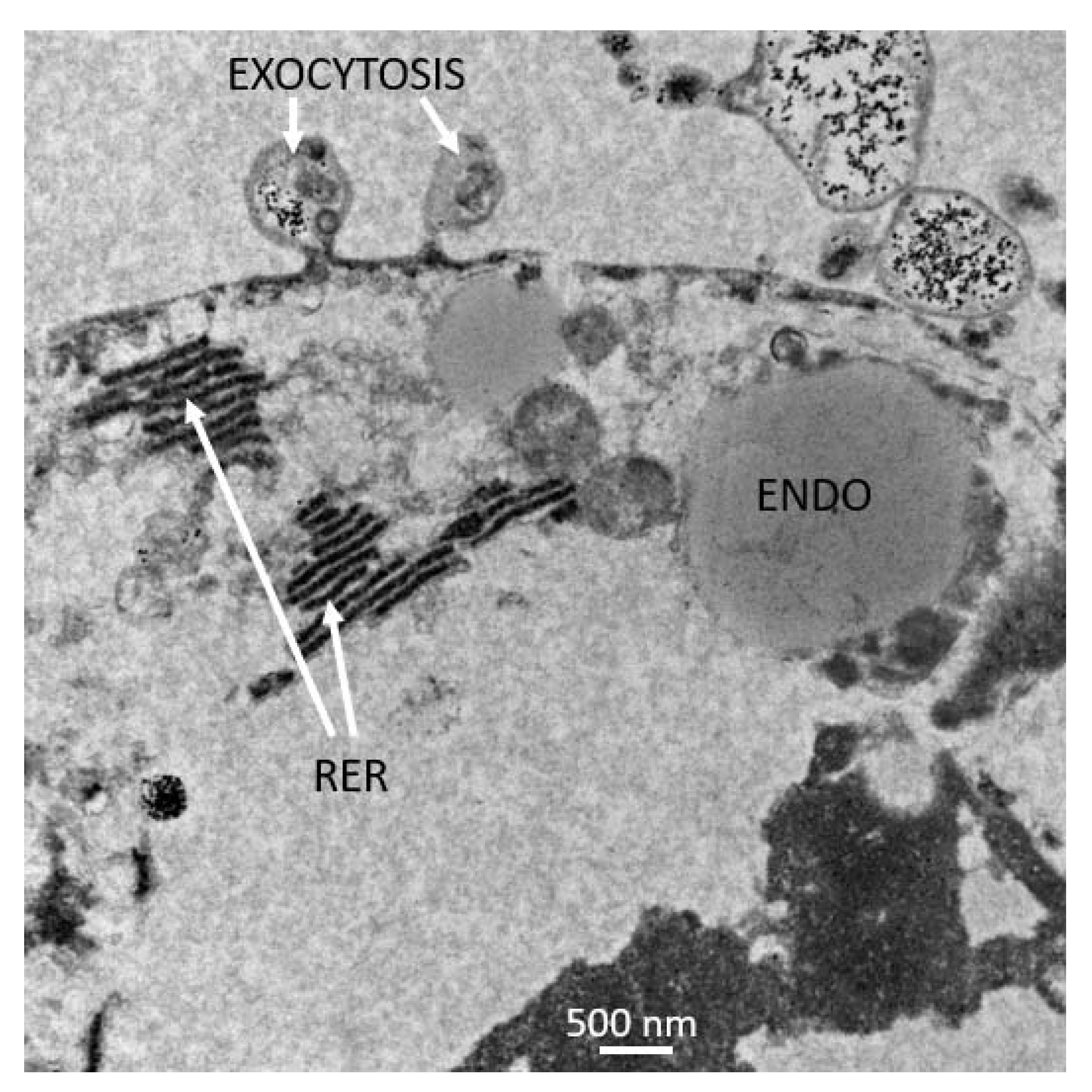Insects 12 00747 g012