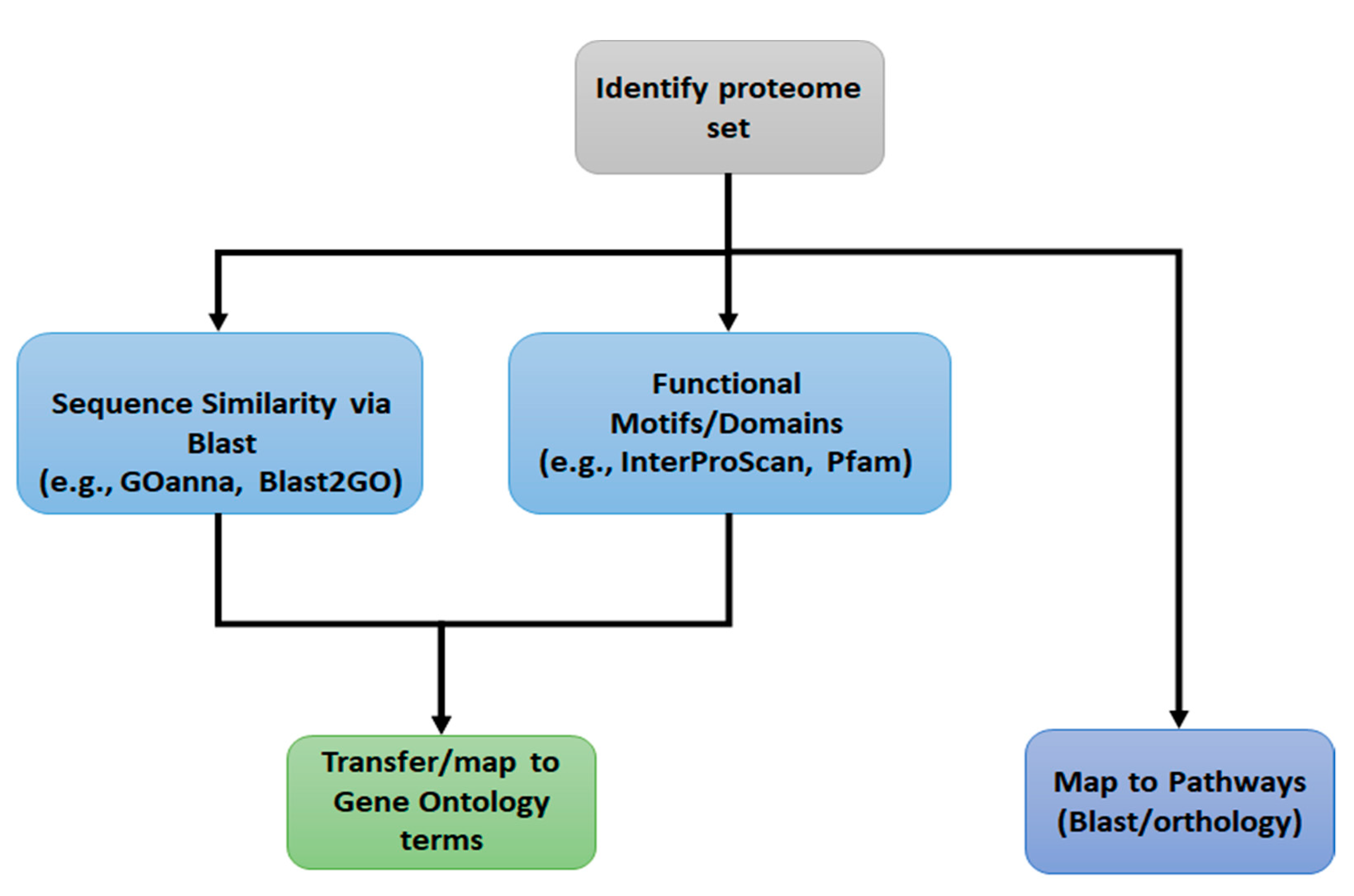 Insects 12 00748 g001