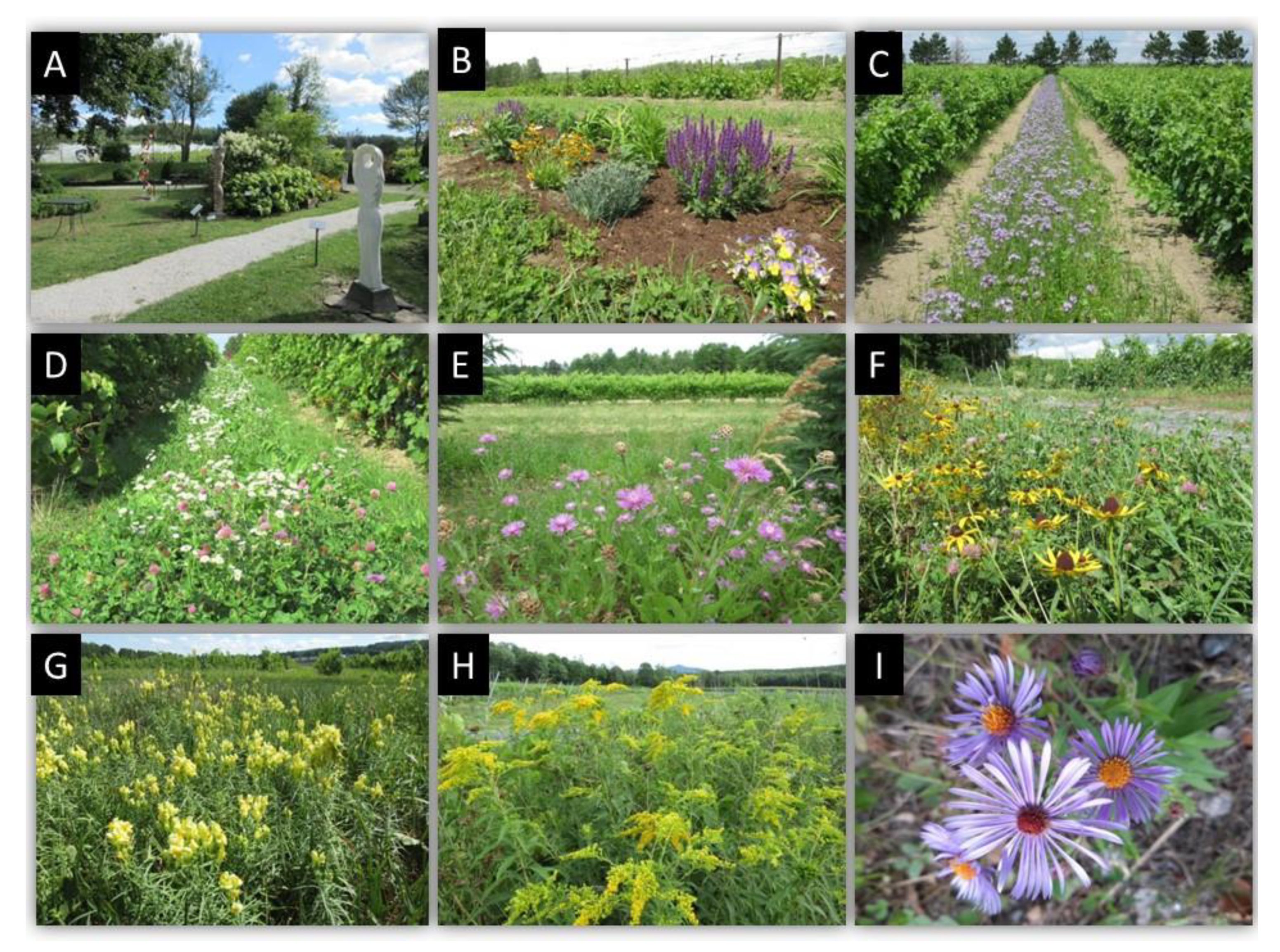 Insects 12 00750 g002 Insects 12 00750 g002