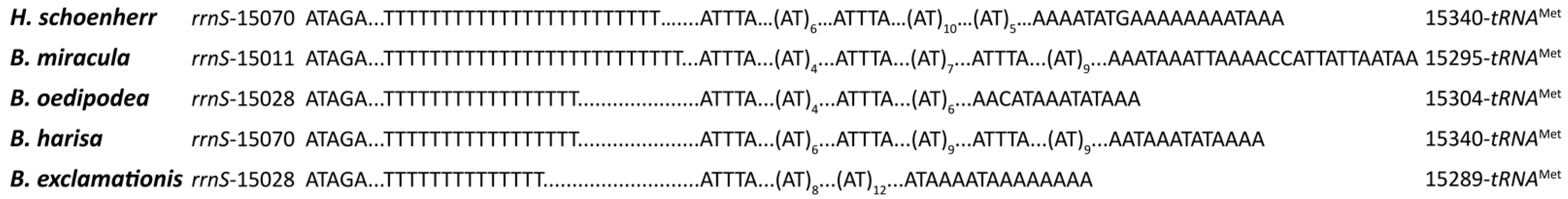 Insects 12 00757 g004