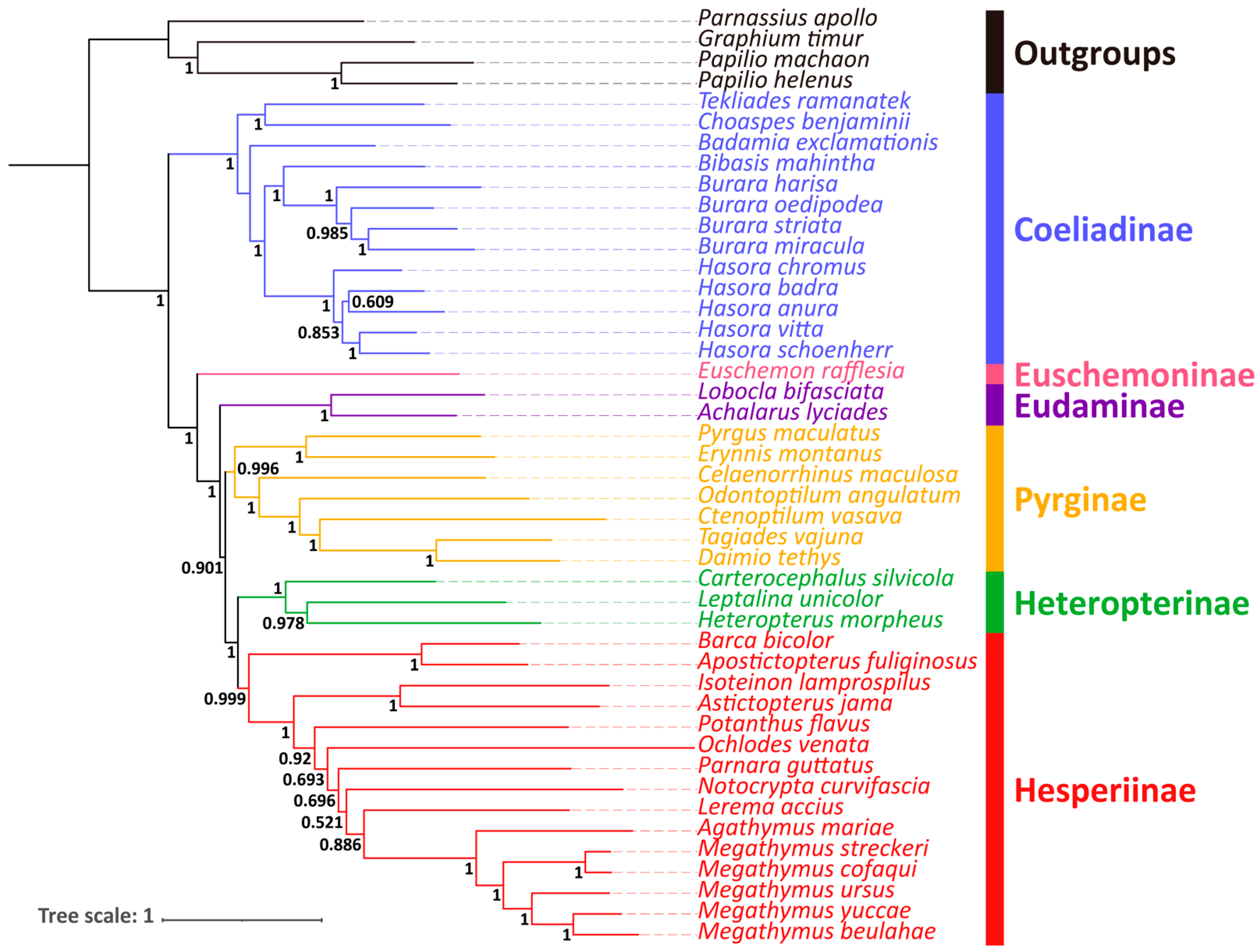 Insects 12 00757 g005
