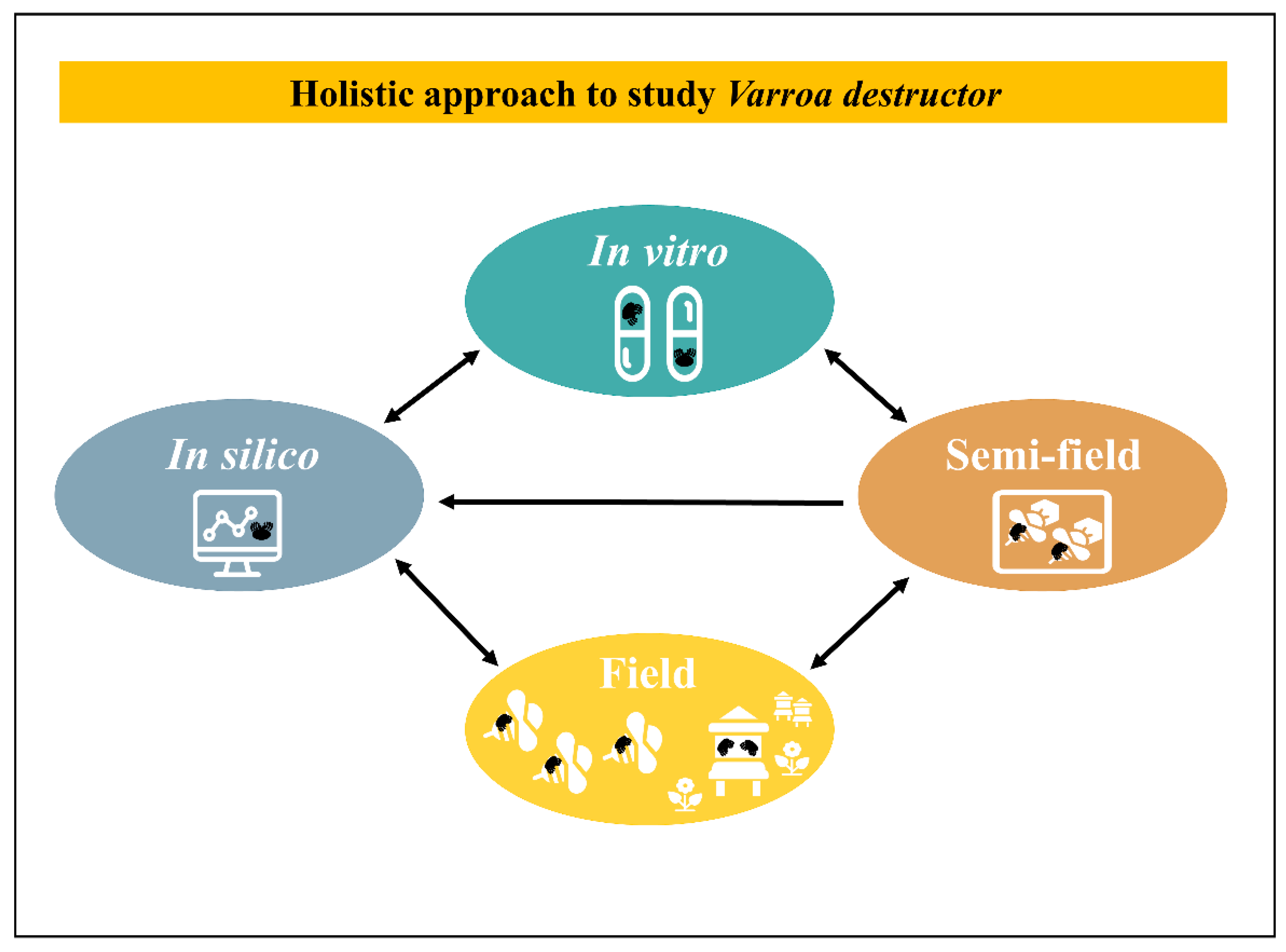 Insects 12 00800 g003
