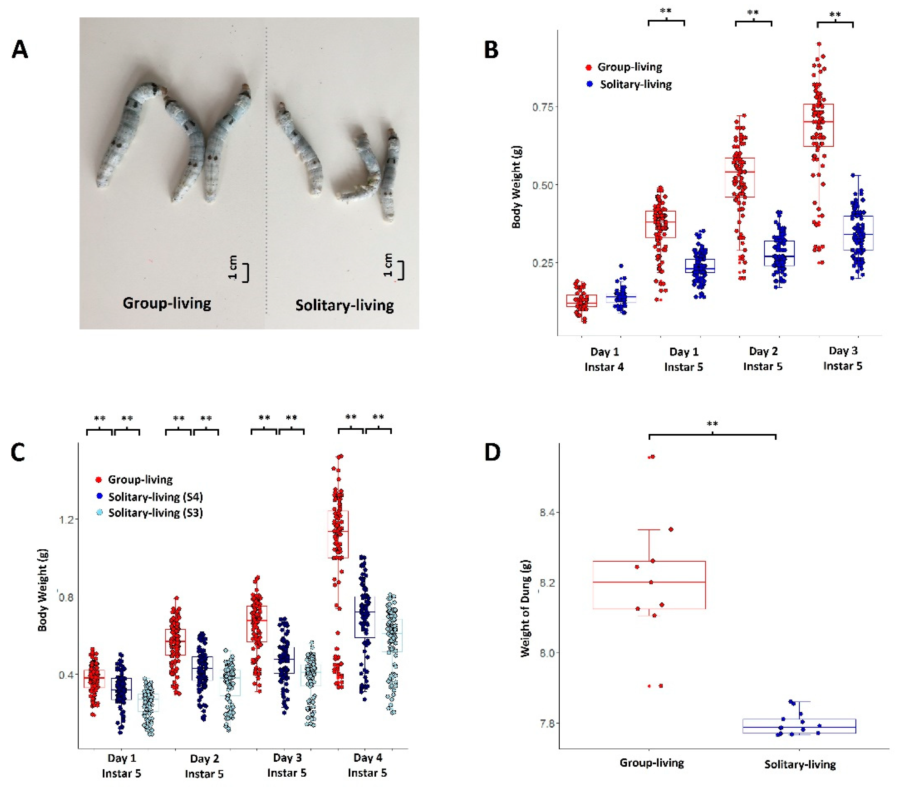 Insects 12 00809 g001