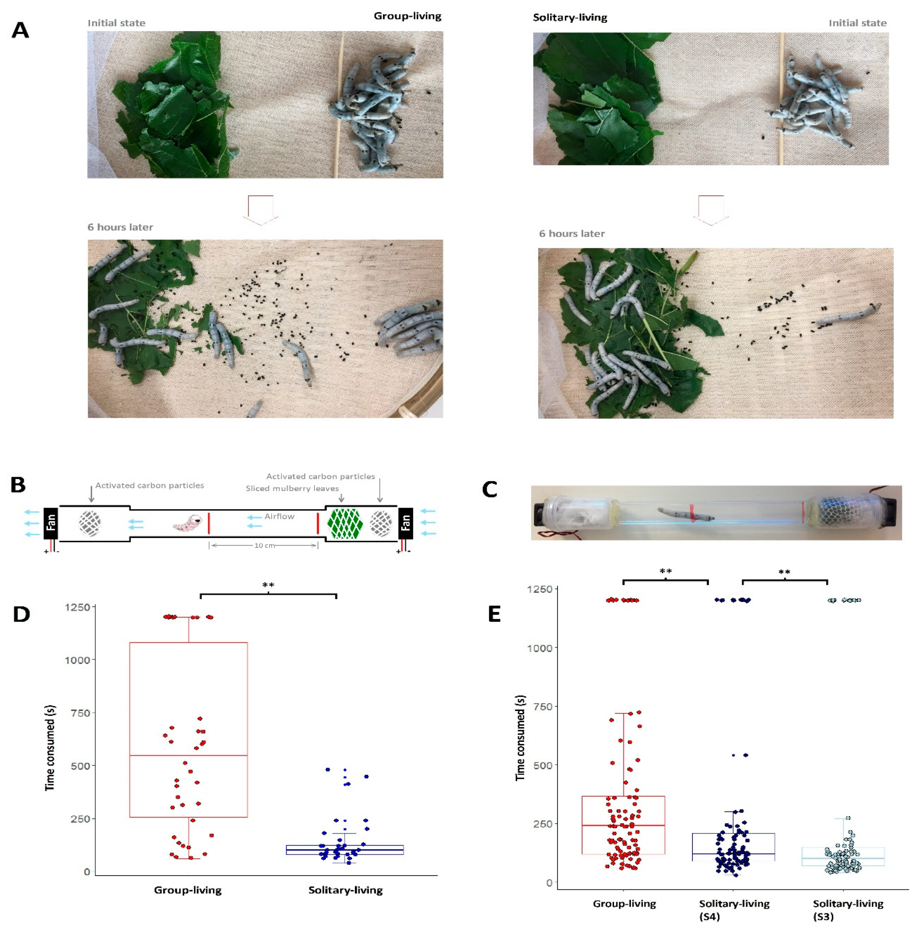 Insects 12 00809 g002