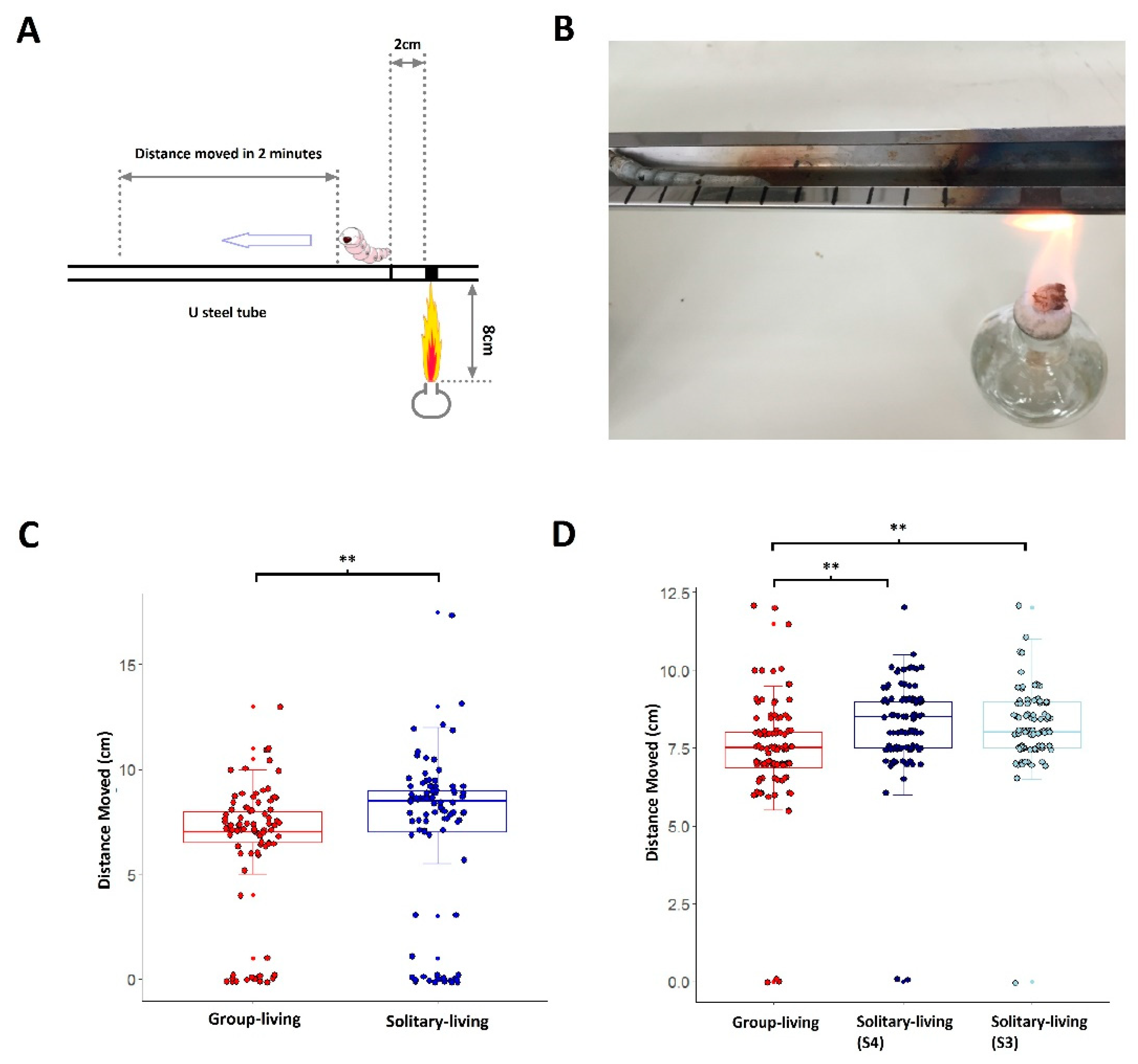 Insects 12 00809 g003