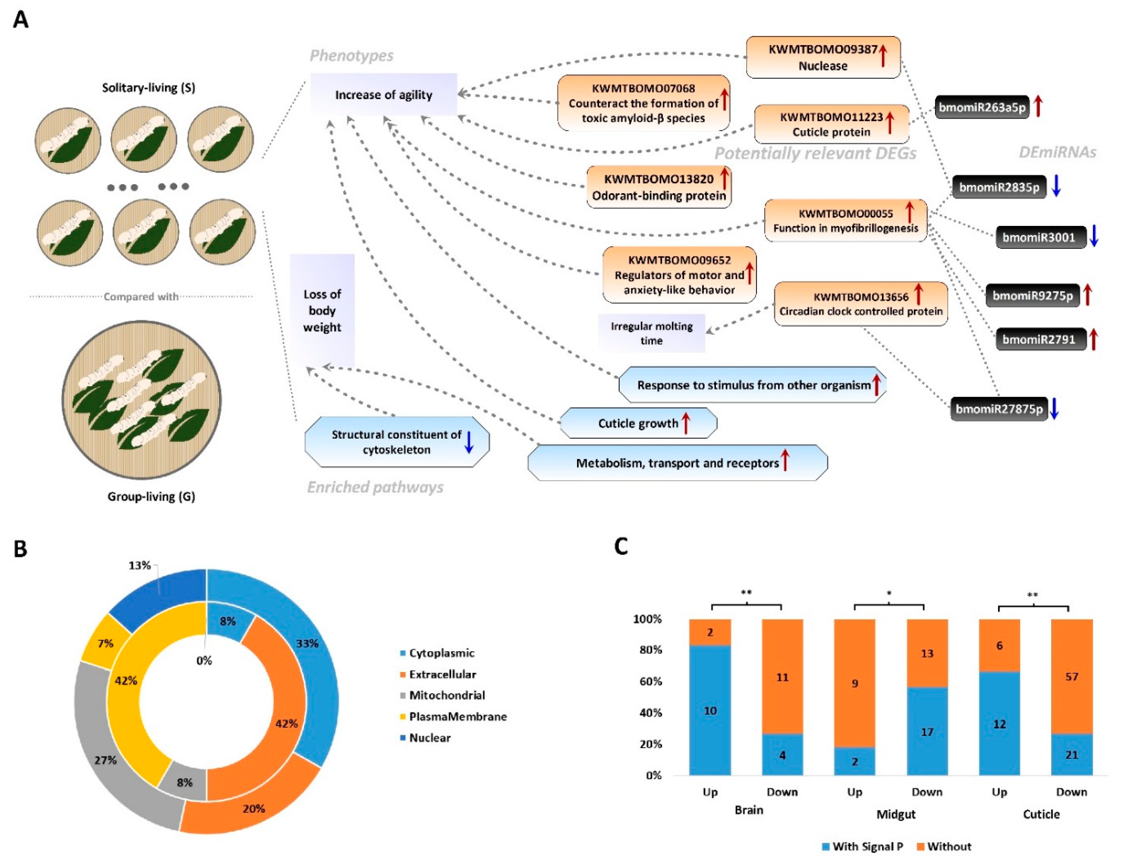 Insects 12 00809 g005