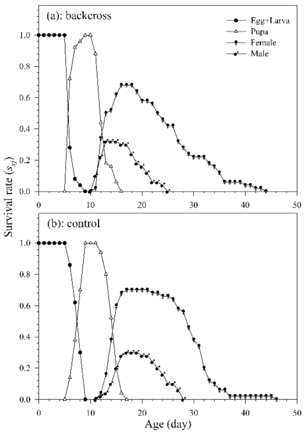 Insects 12 00823 g004