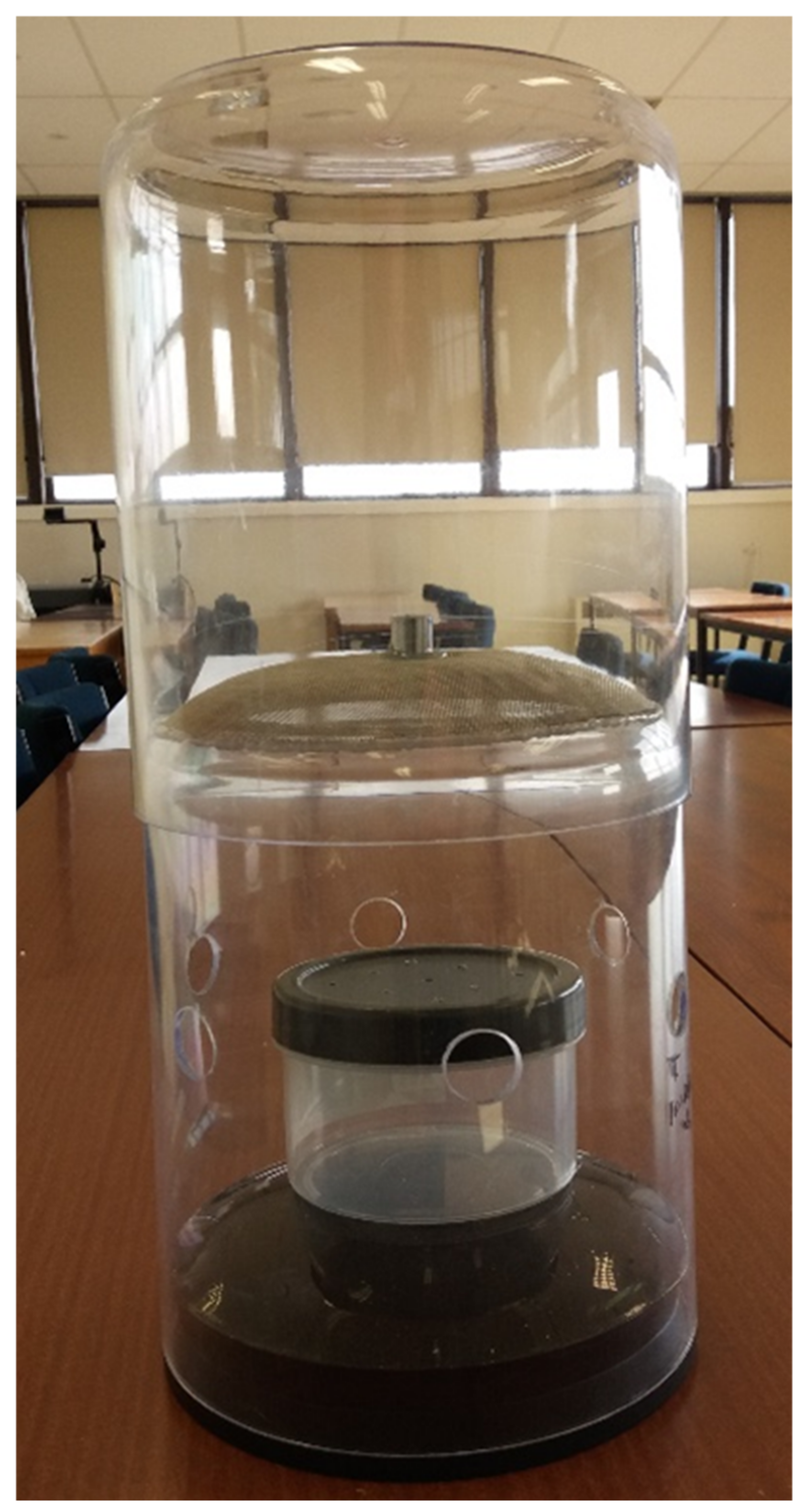 Insects 12 00829 g002