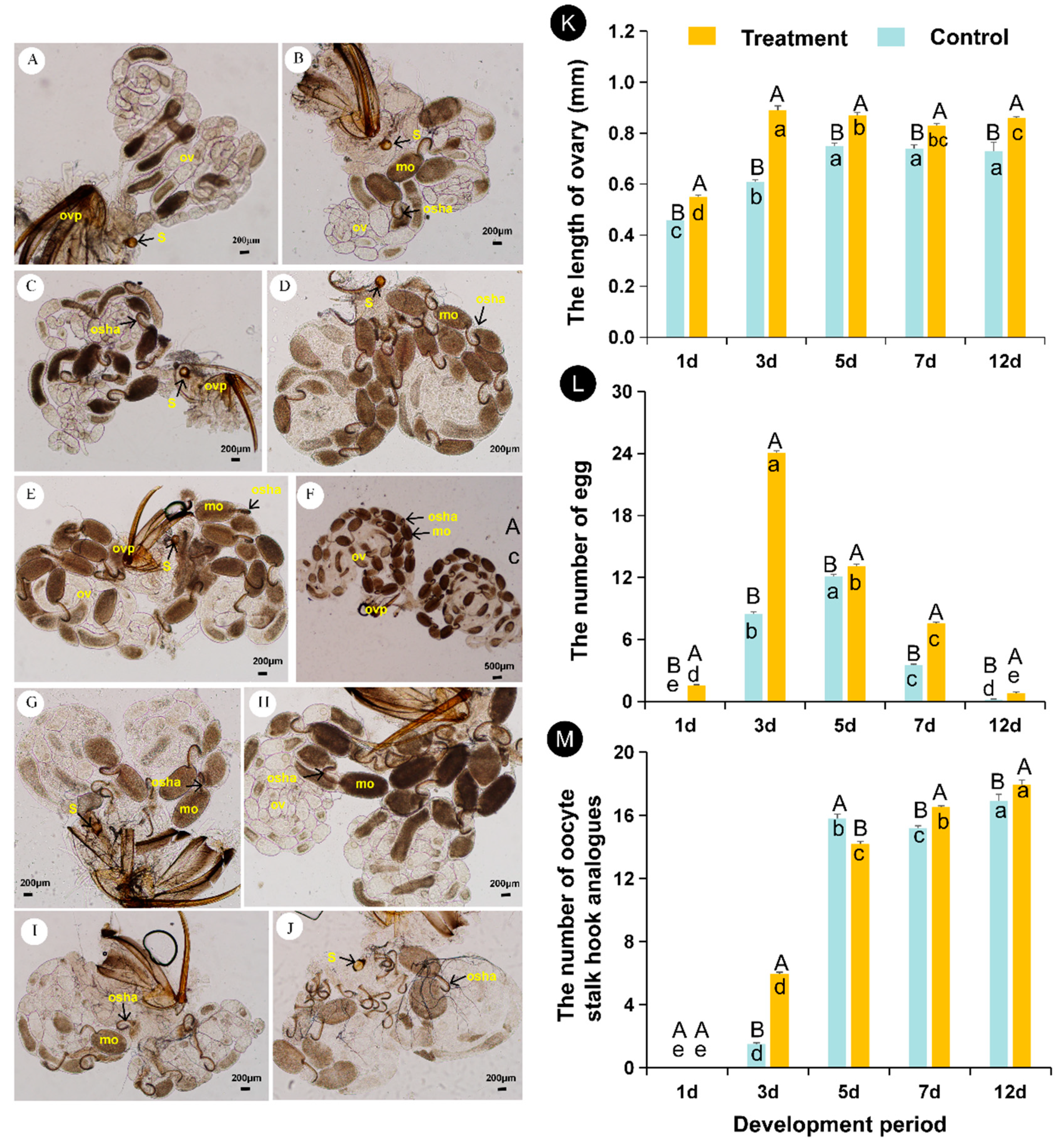 Insects 12 00833 g002