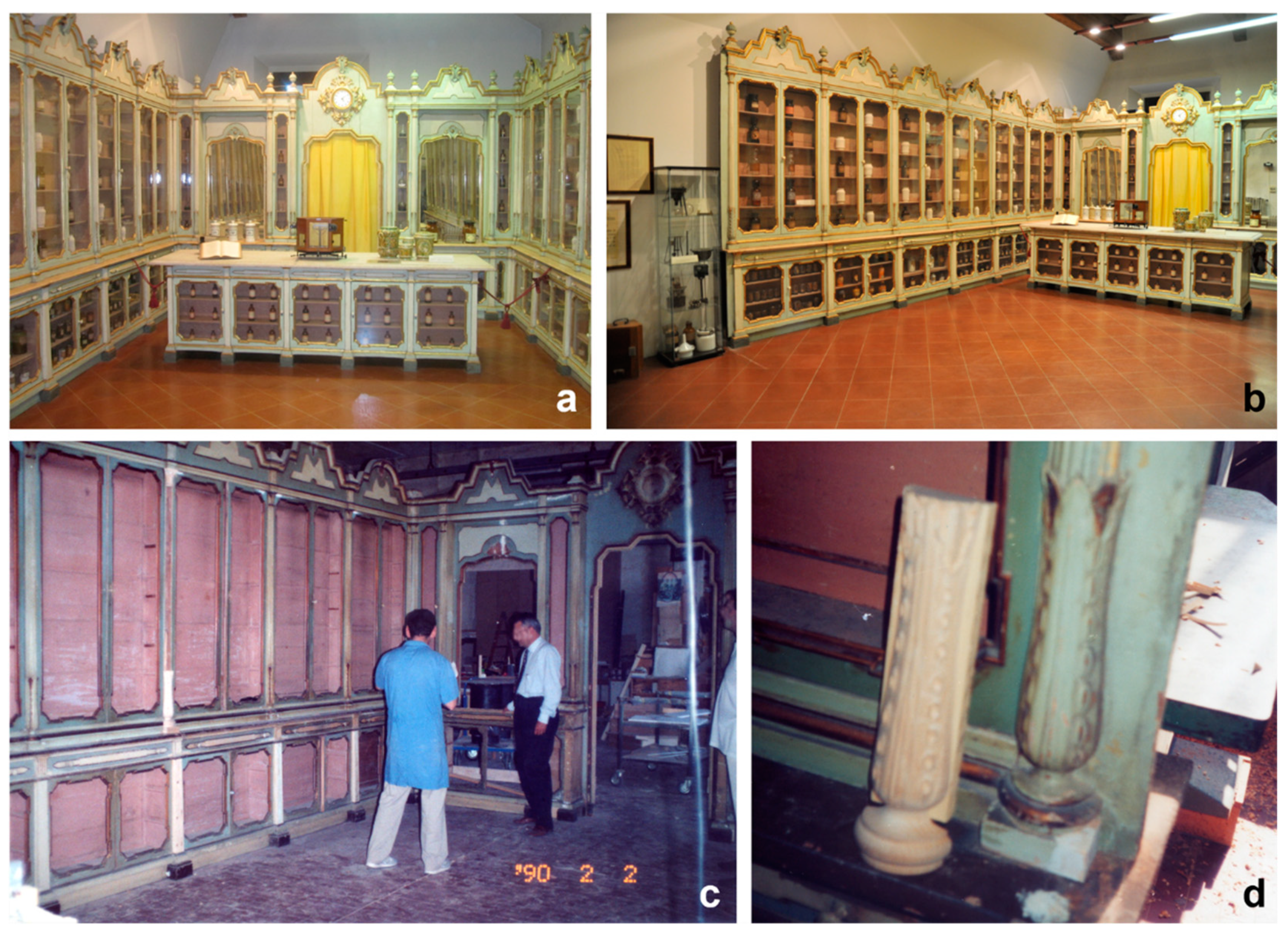 Insects 12 00839 g001