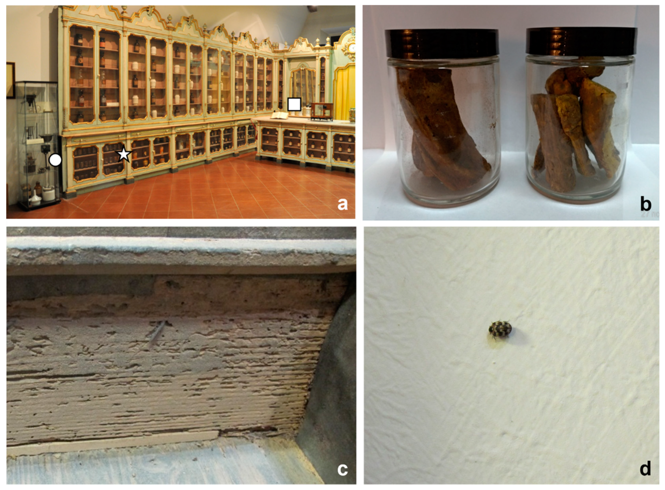 Insects 12 00839 g002