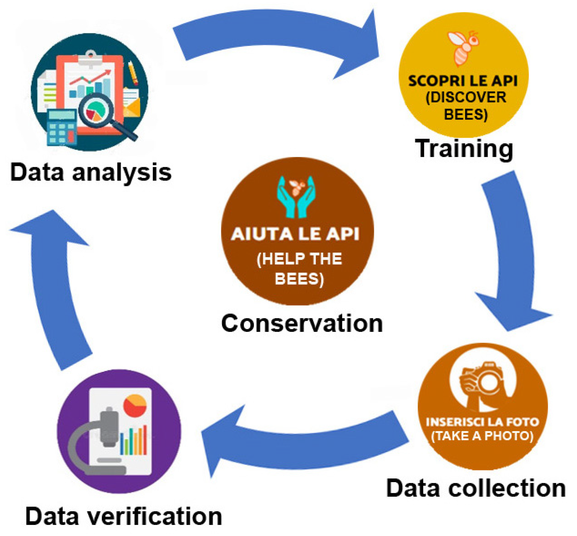 Insects 12 00841 g001