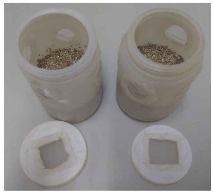 Insects 12 00848 g001