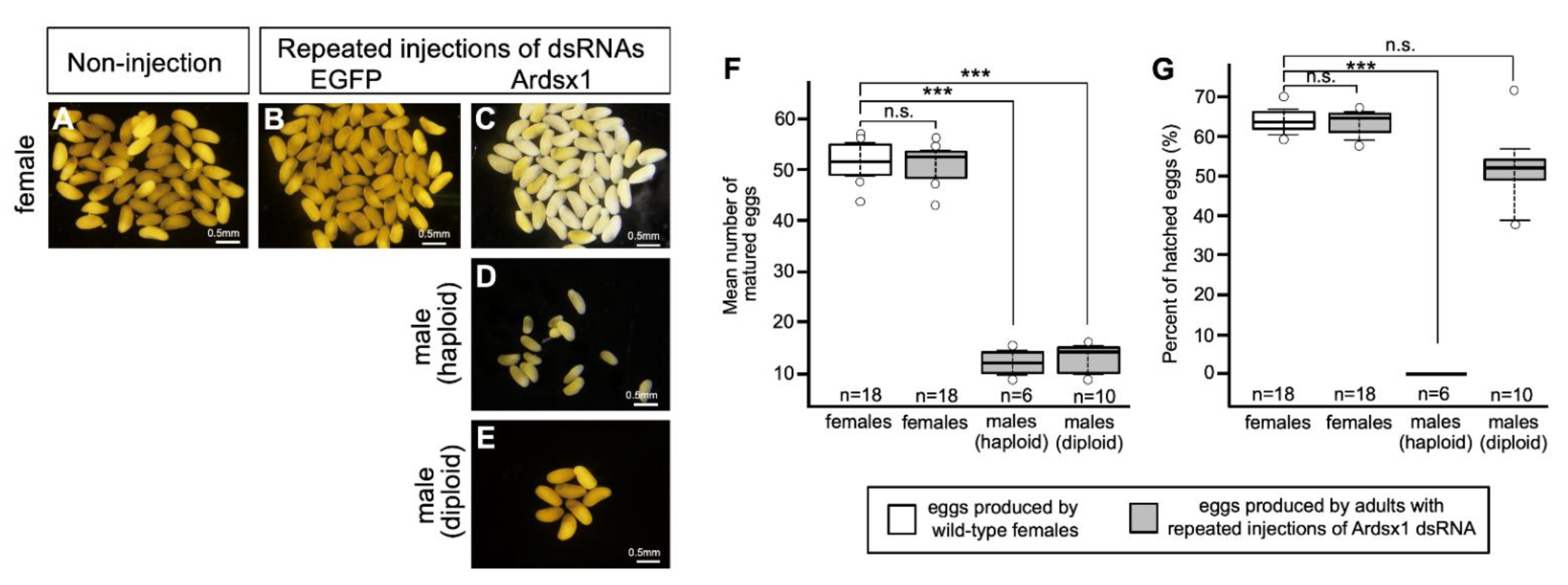 Insects 12 00849 g004