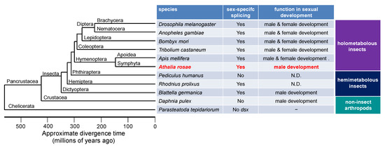 Insects 12 00849 g006
