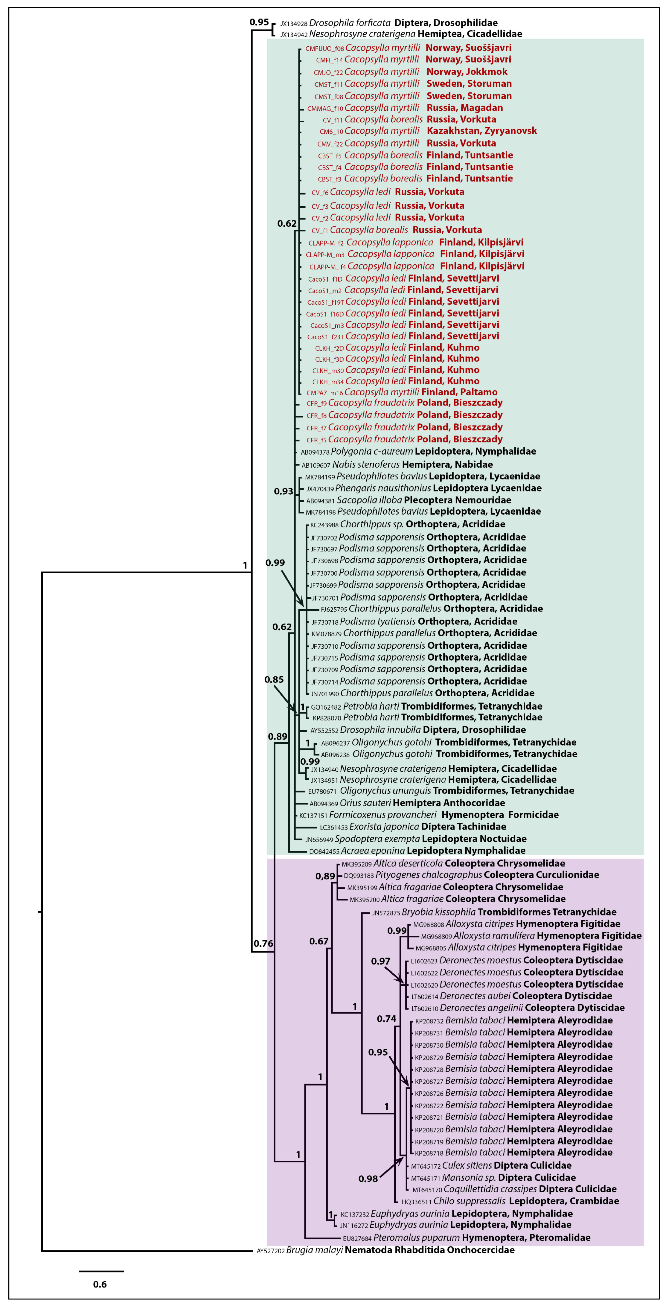 Insects 12 00853 g004