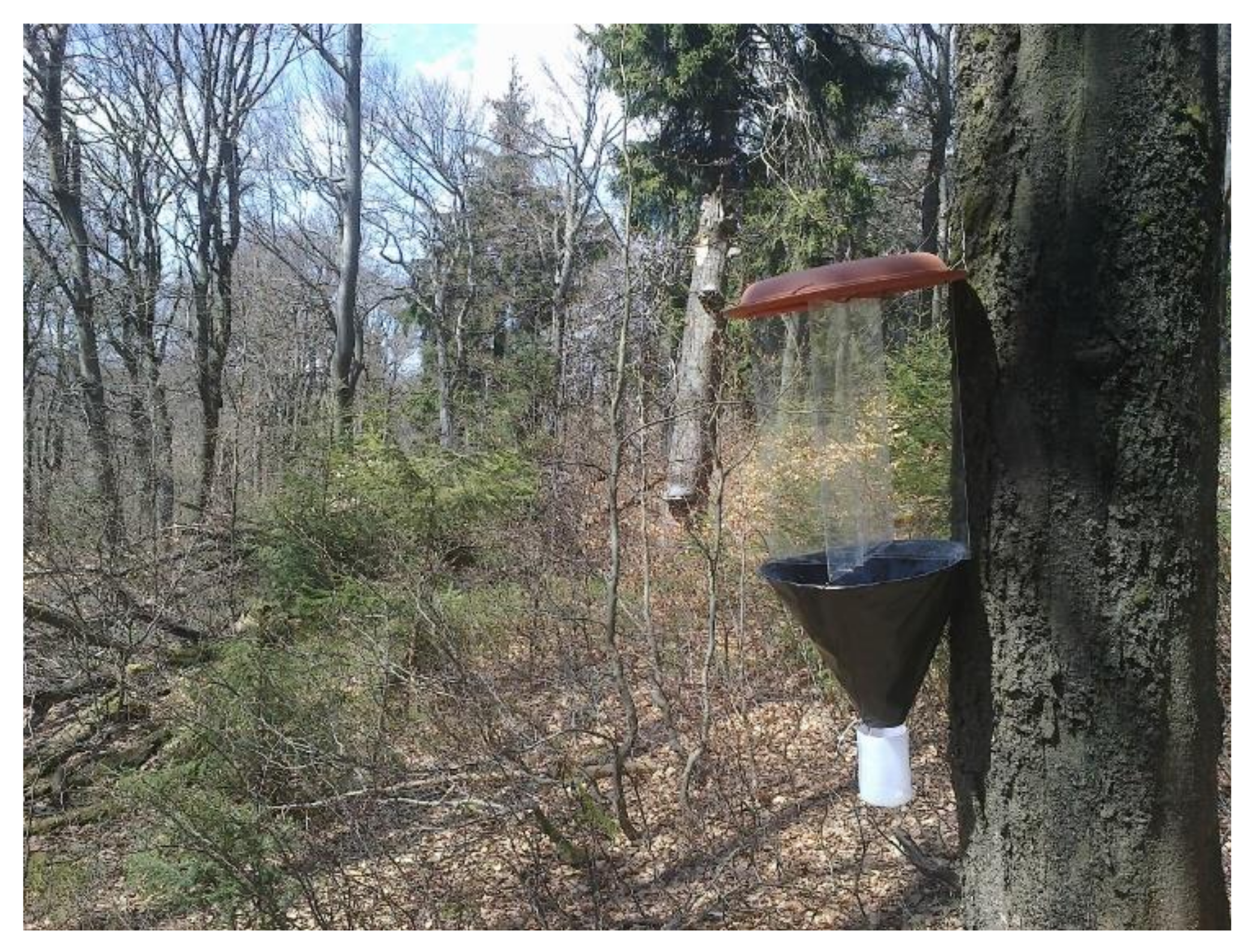 Insects 12 00858 g001