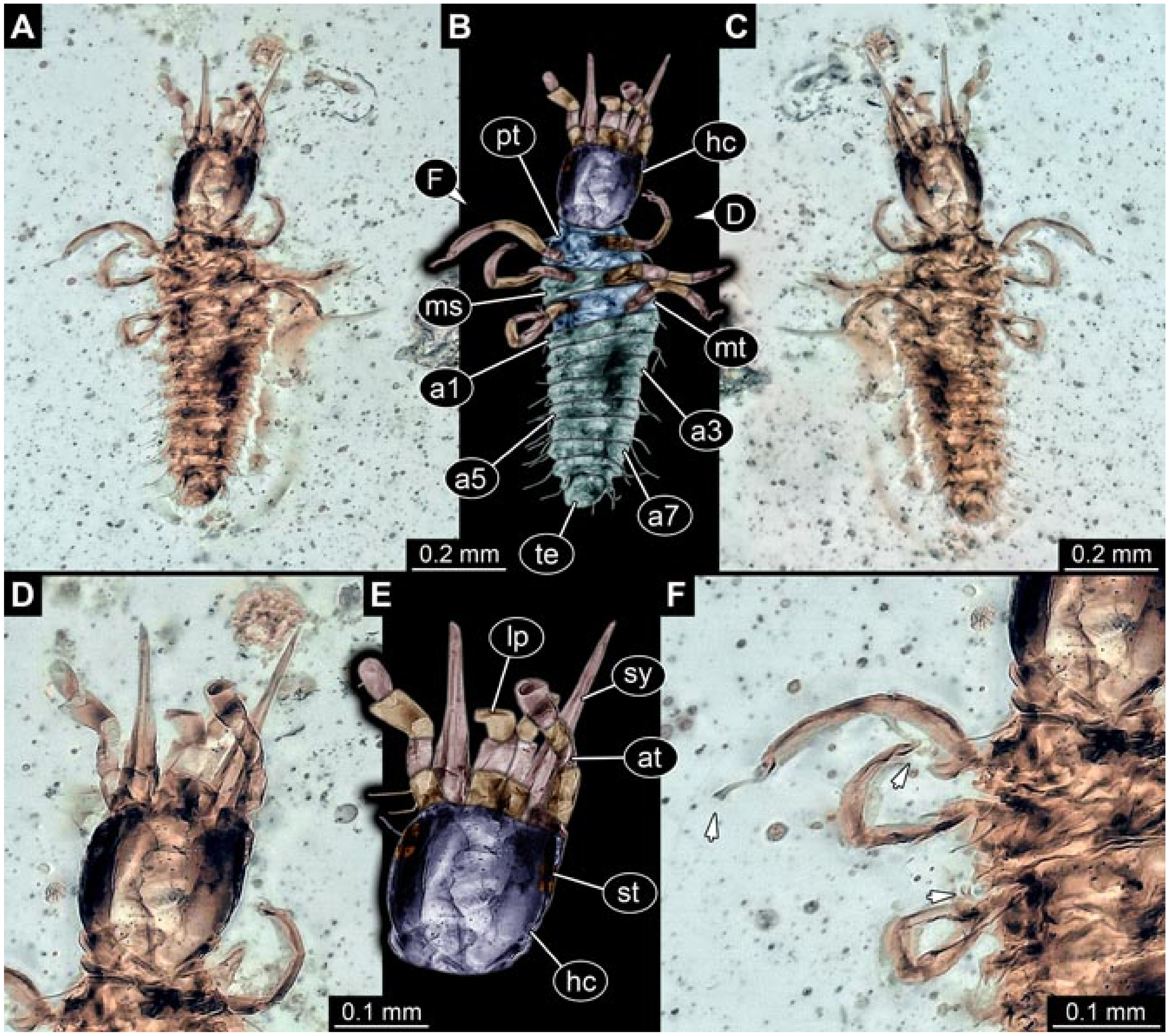 Insects 12 00860 g011 Insects 12 00860 g011