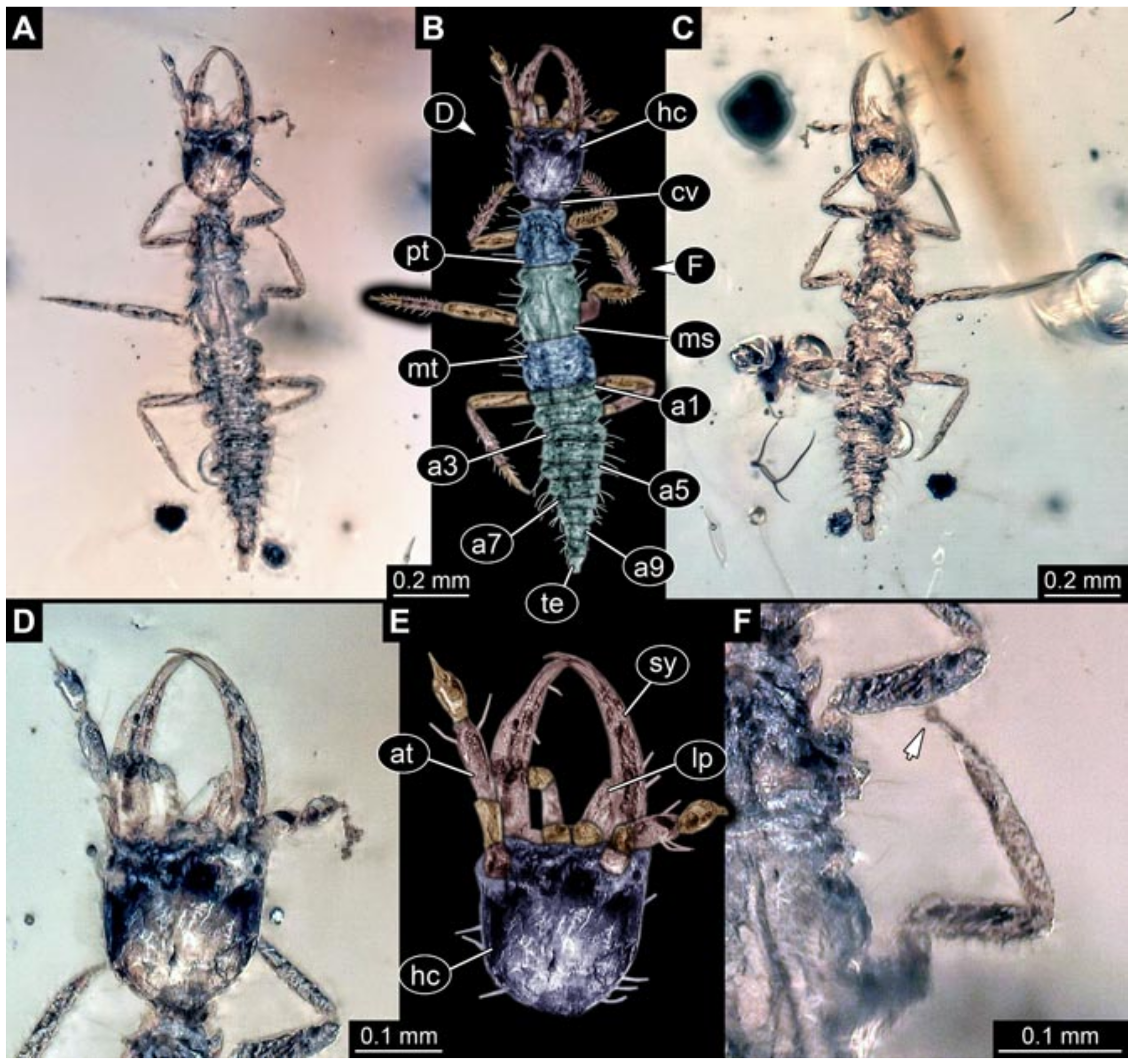 Insects 12 00860 g025 Insects 12 00860 g025