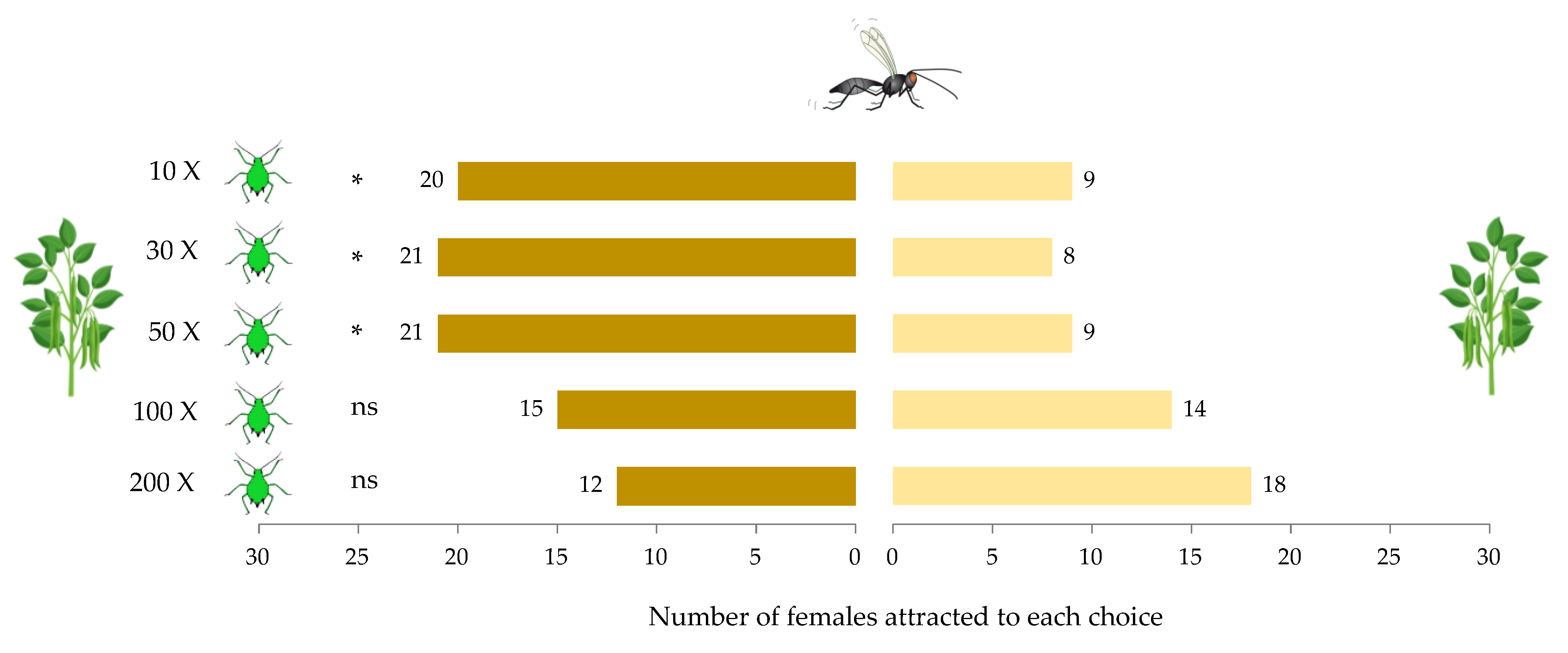 Insects 12 00878 g001