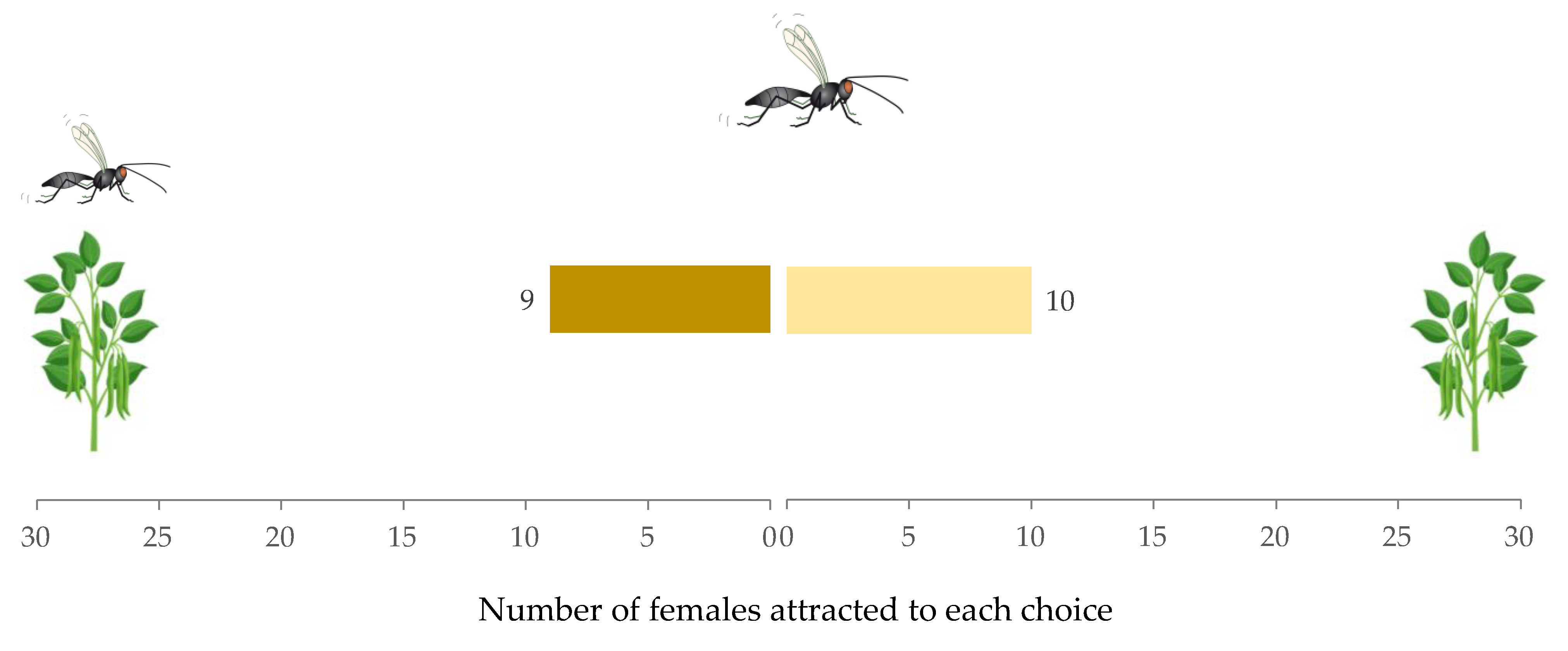 Insects 12 00878 g003